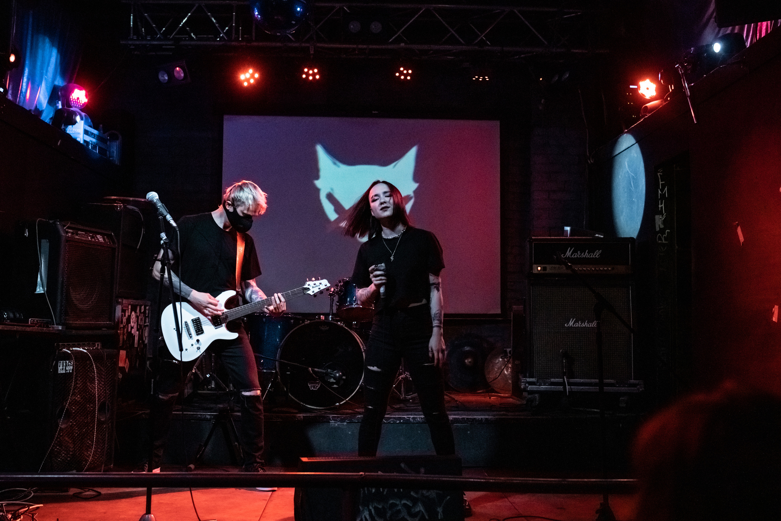 THE KAT IS DEAD. Фотограф Елена Богачева (lenalena_na_na_na)