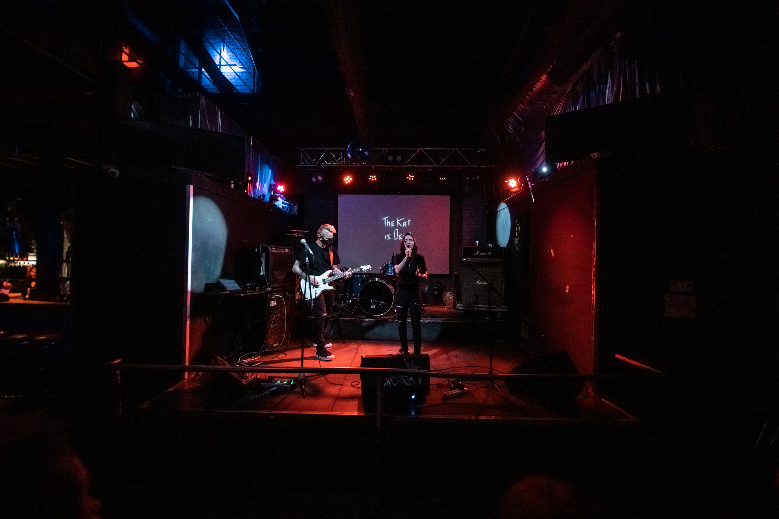 THE KAT IS DEAD. Фотограф Елена Богачева (lenalena_na_na_na)