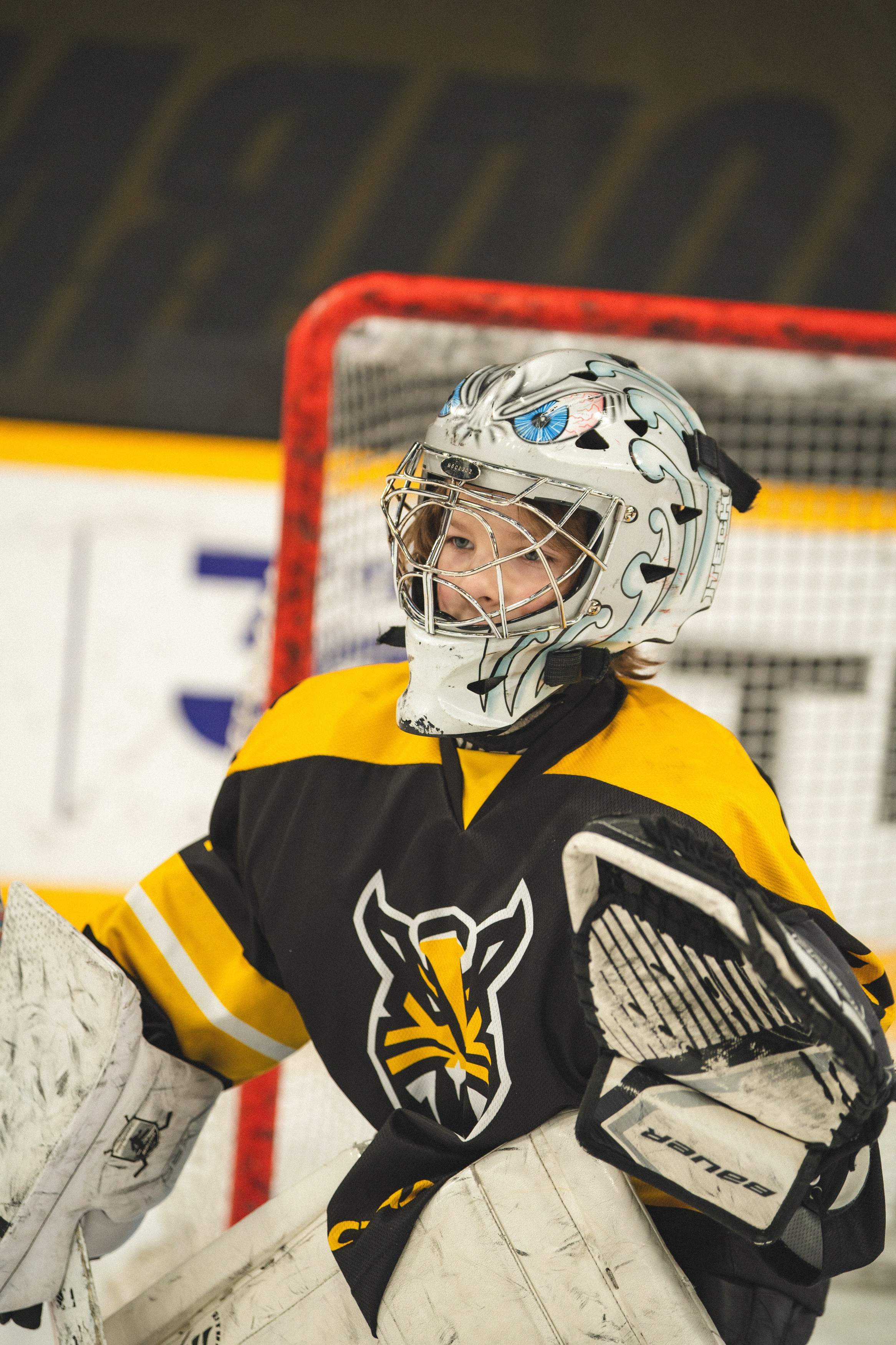ХК Северсталь (младшая группа). Череповец. Zekons. Фото, видео, нейросети