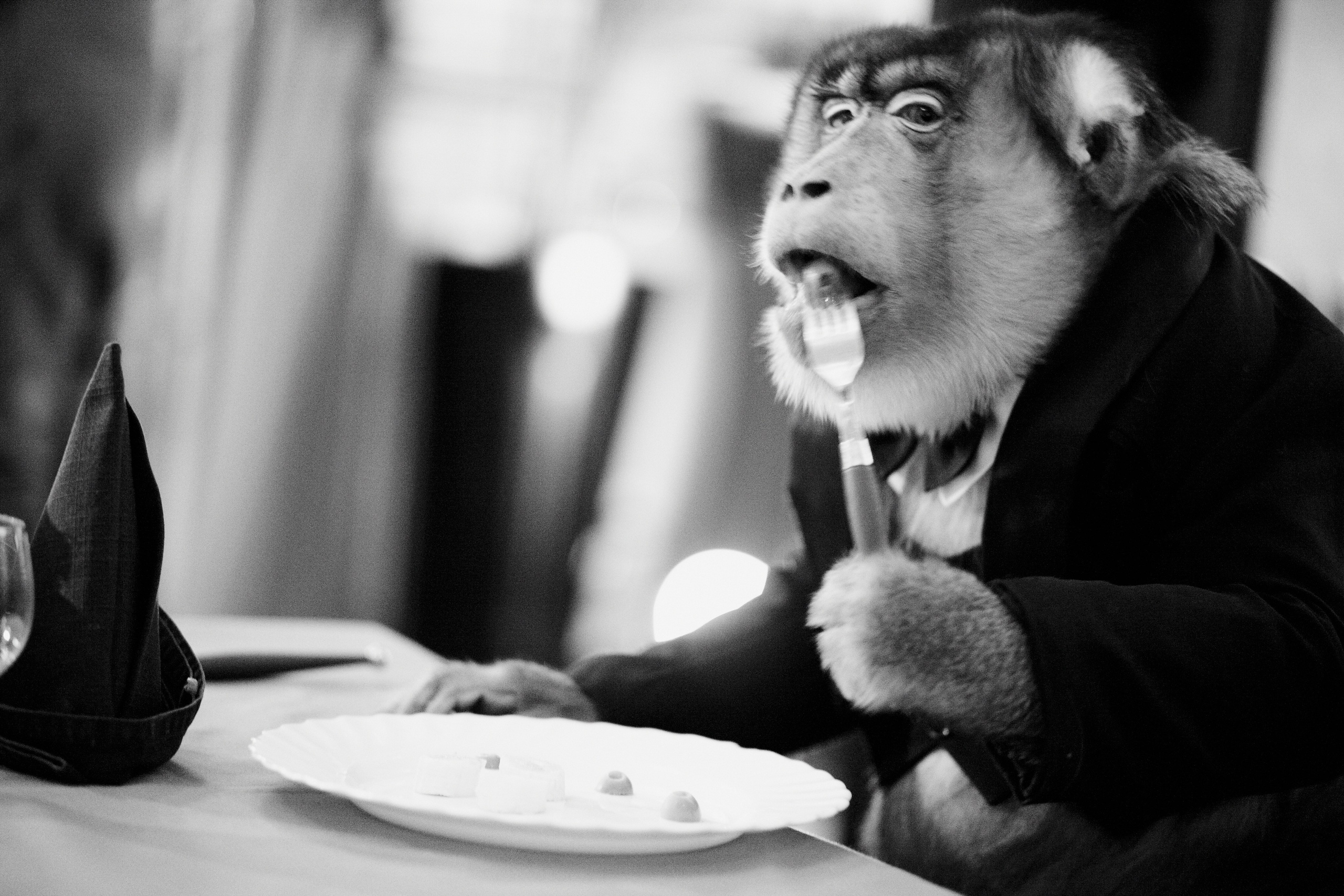 Moments. Организация и съёмка мероприятий любого формата. Иван Быков