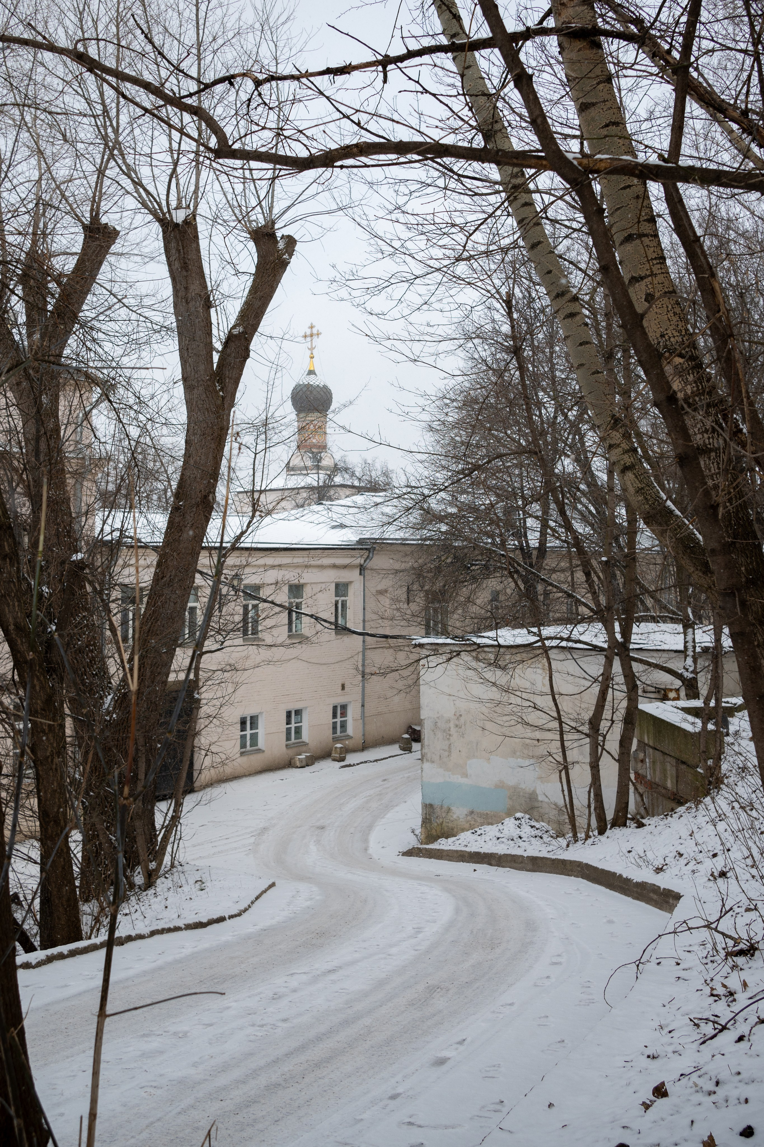 20250216 Нескучный сад. Дмитрий Ремизов. Фотография, как хобби