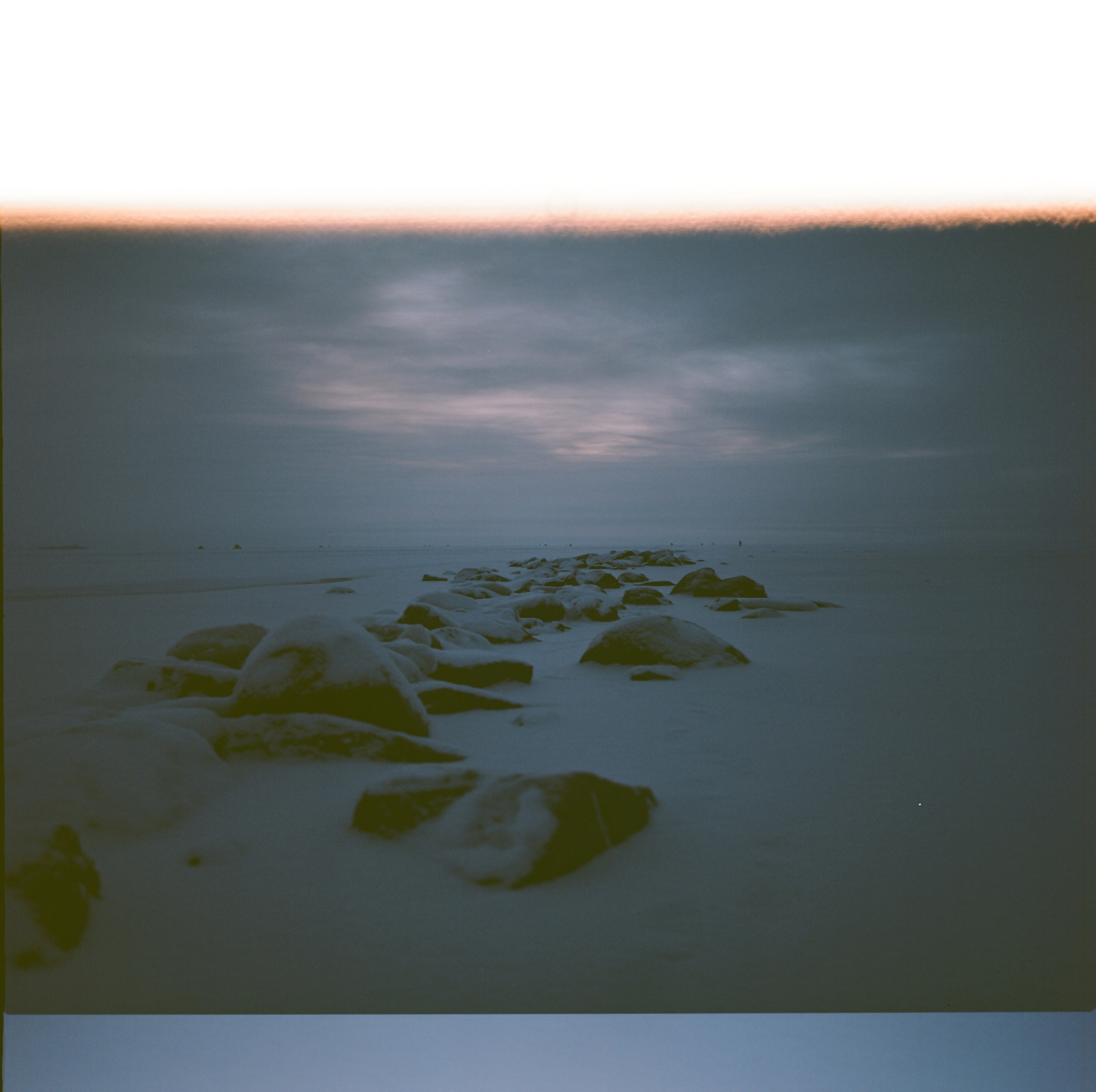 Rotten apple (ongoing). Lisa Mukhina