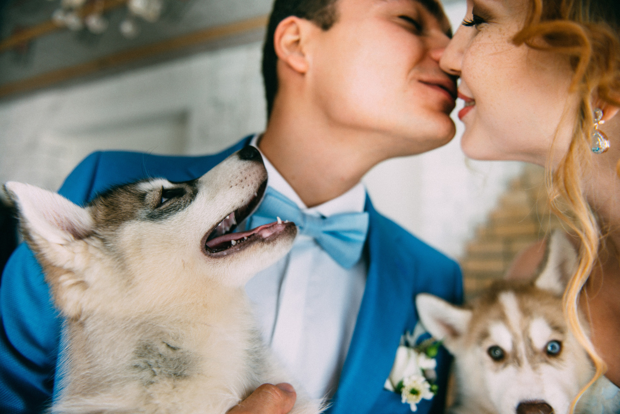 Свадебное. Репортаж, Интерьеры, Мероприятия, SMM. Фотограф Ставрополь