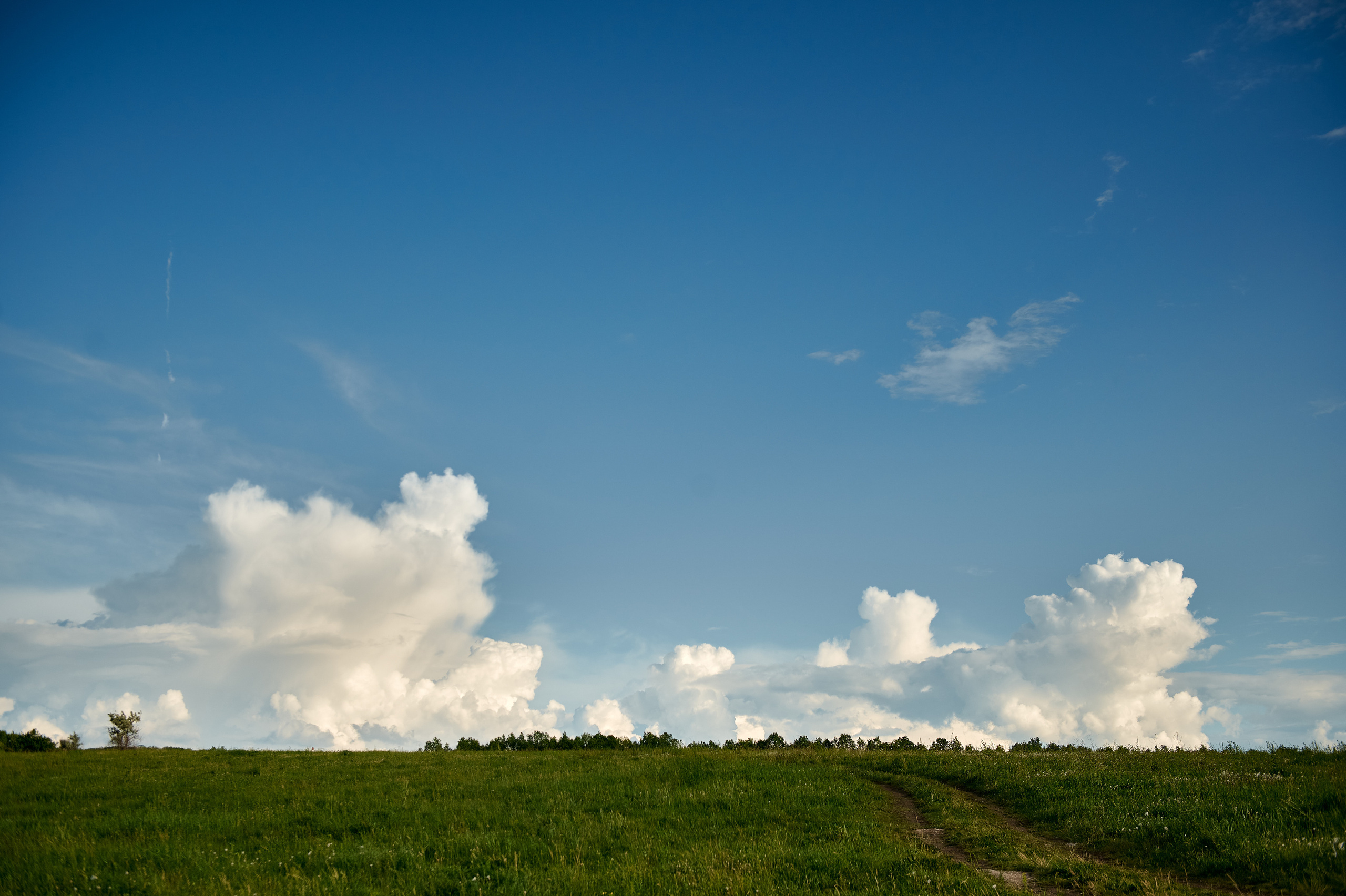 Фотосессия для Юлии. Фотограф в Воронеже Тазаева Светлана