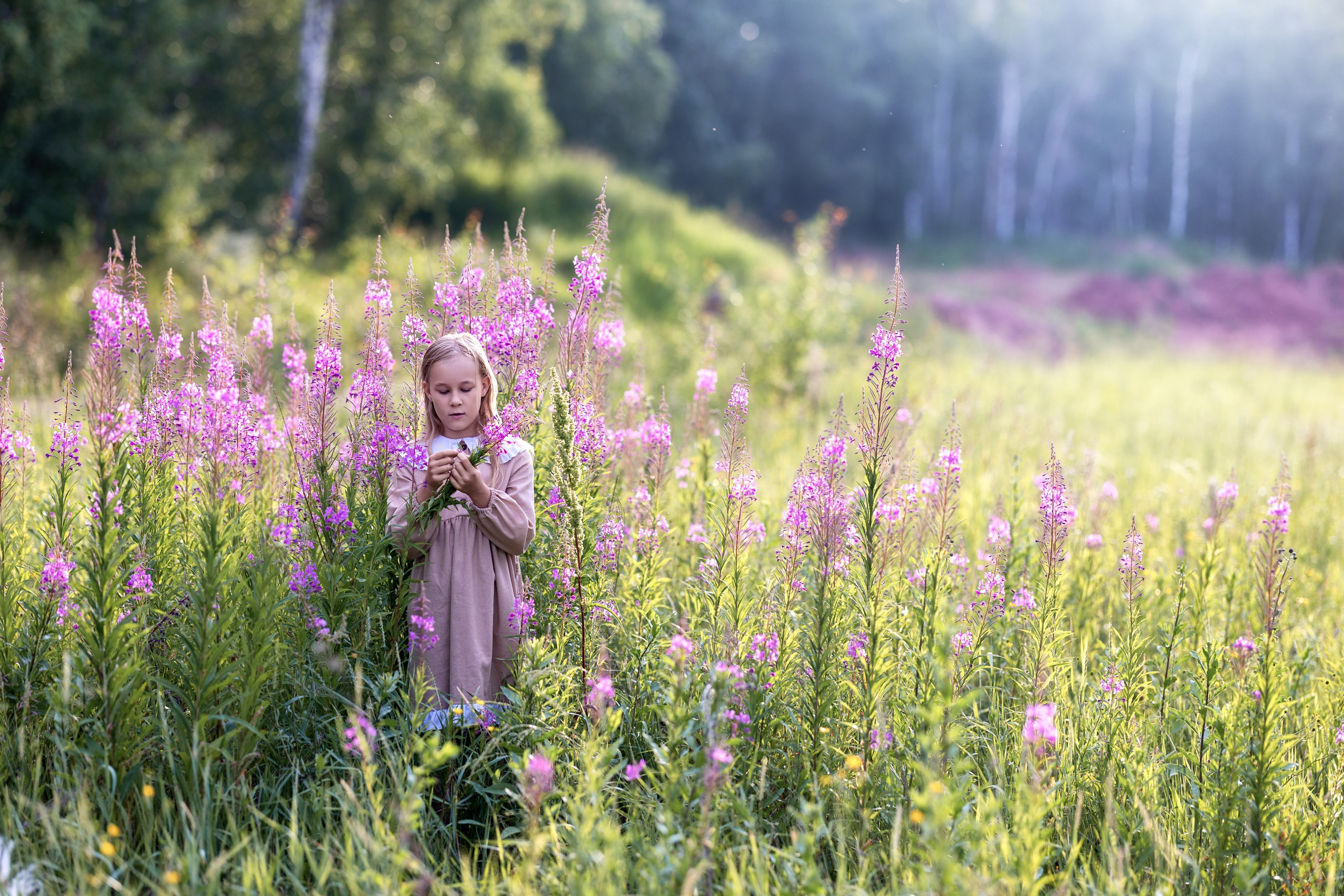 Цветущие поля. Семейный и детский фотограф в Красноярске, Дивногорцева Светлана