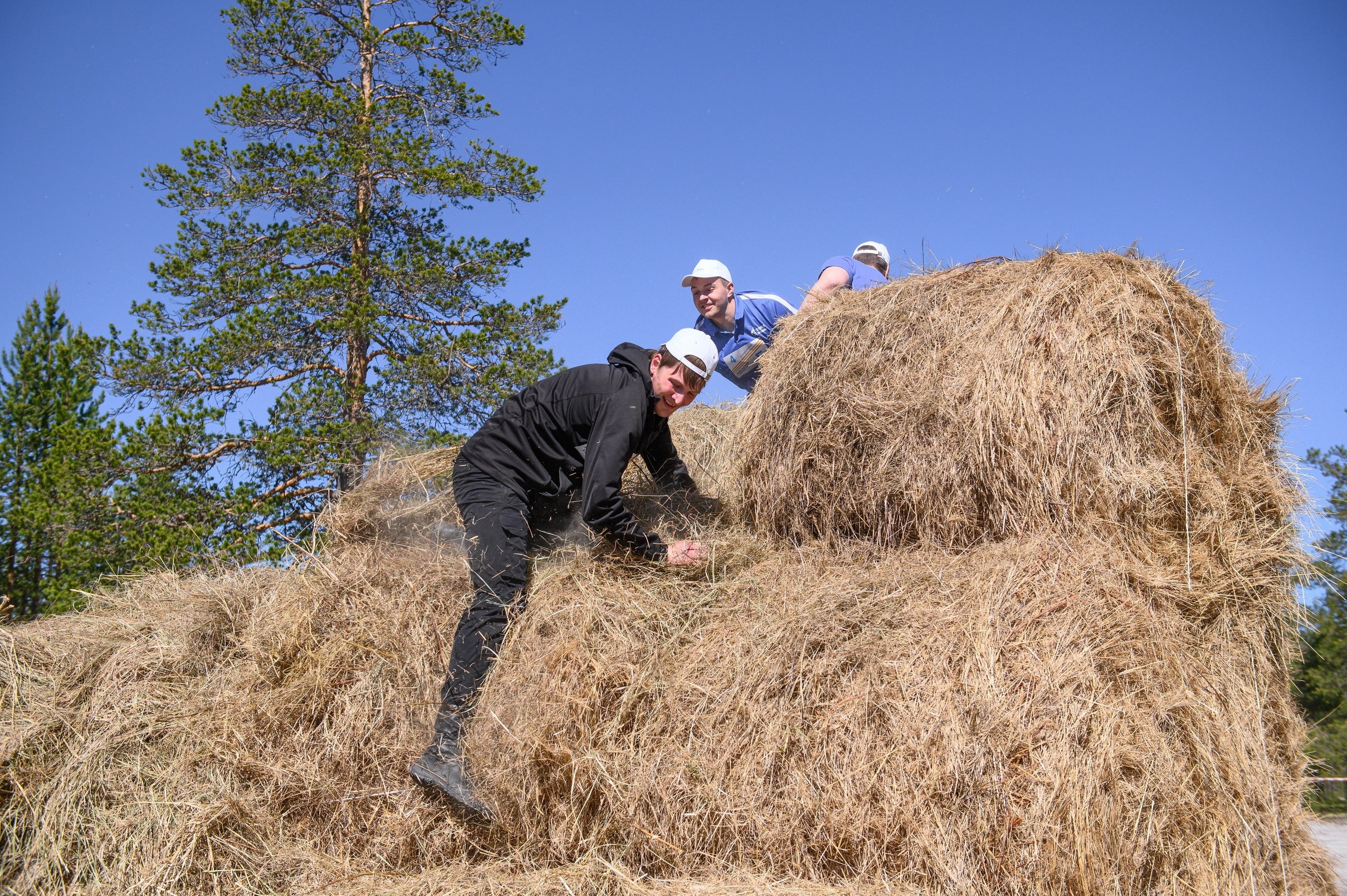 Соревнования в Муравленко Северный Характер