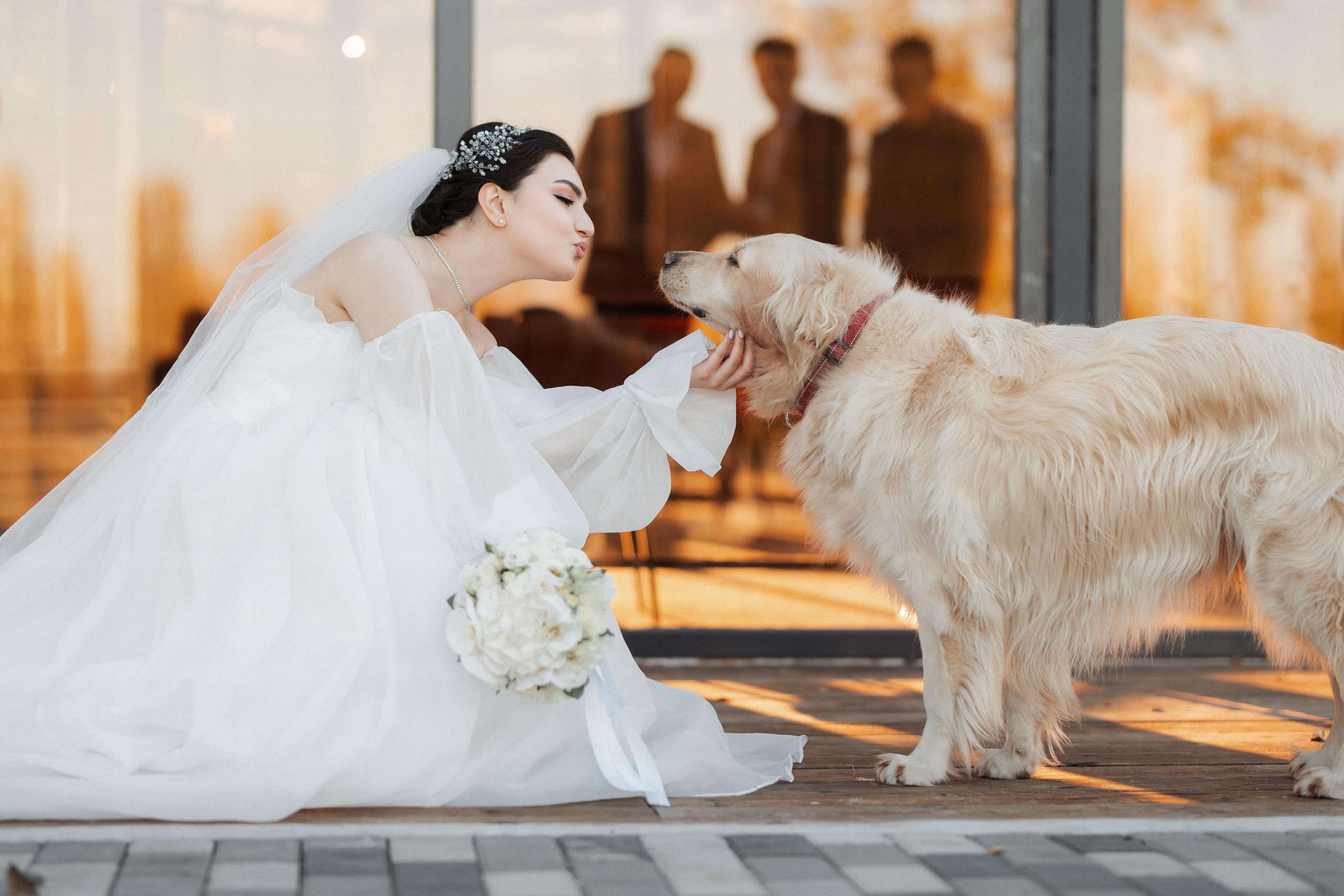 Свадебная фотосессия. Фотограф Артур Дзахмишев