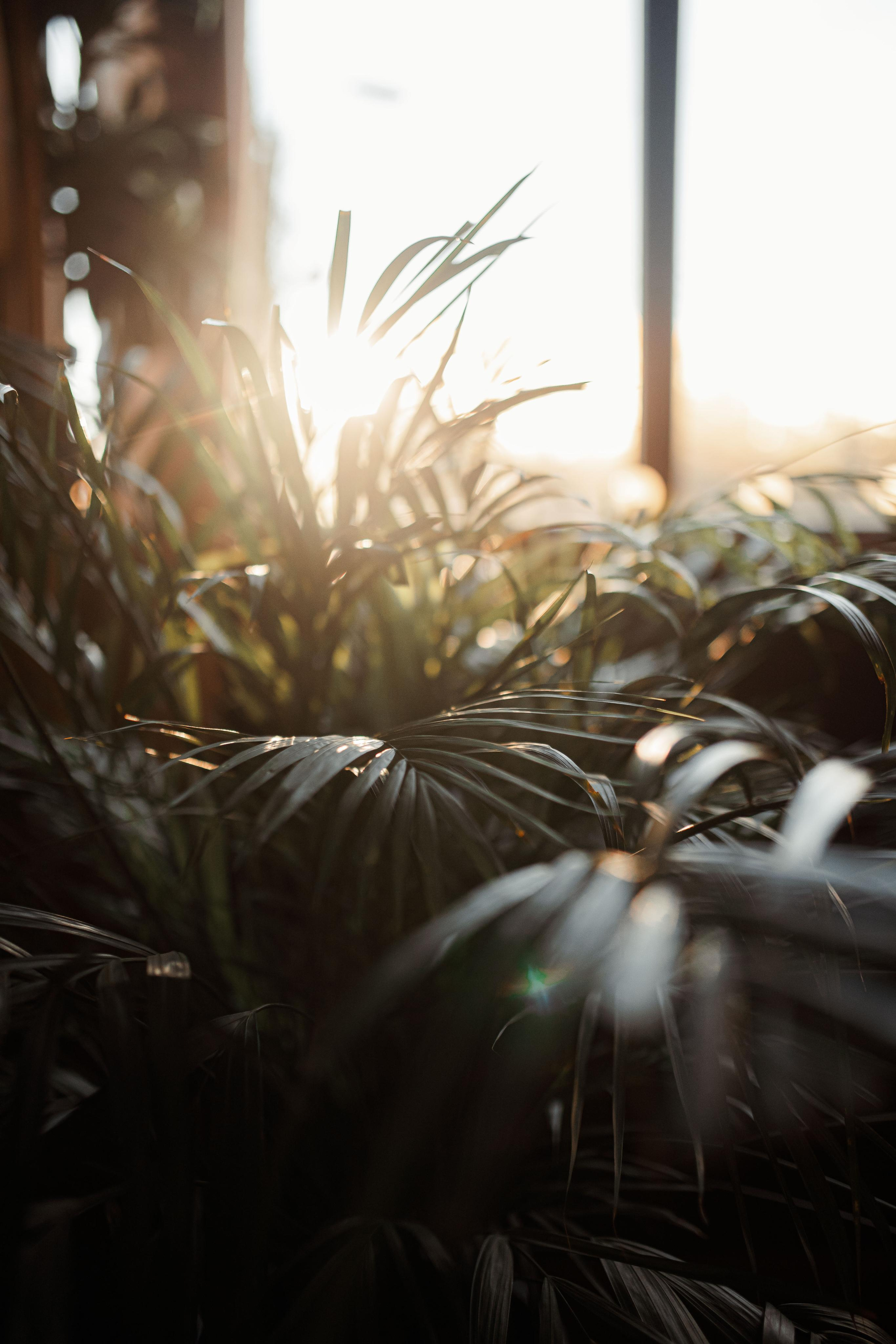 Интерьер. Фотограф Артур Дзахмишев
