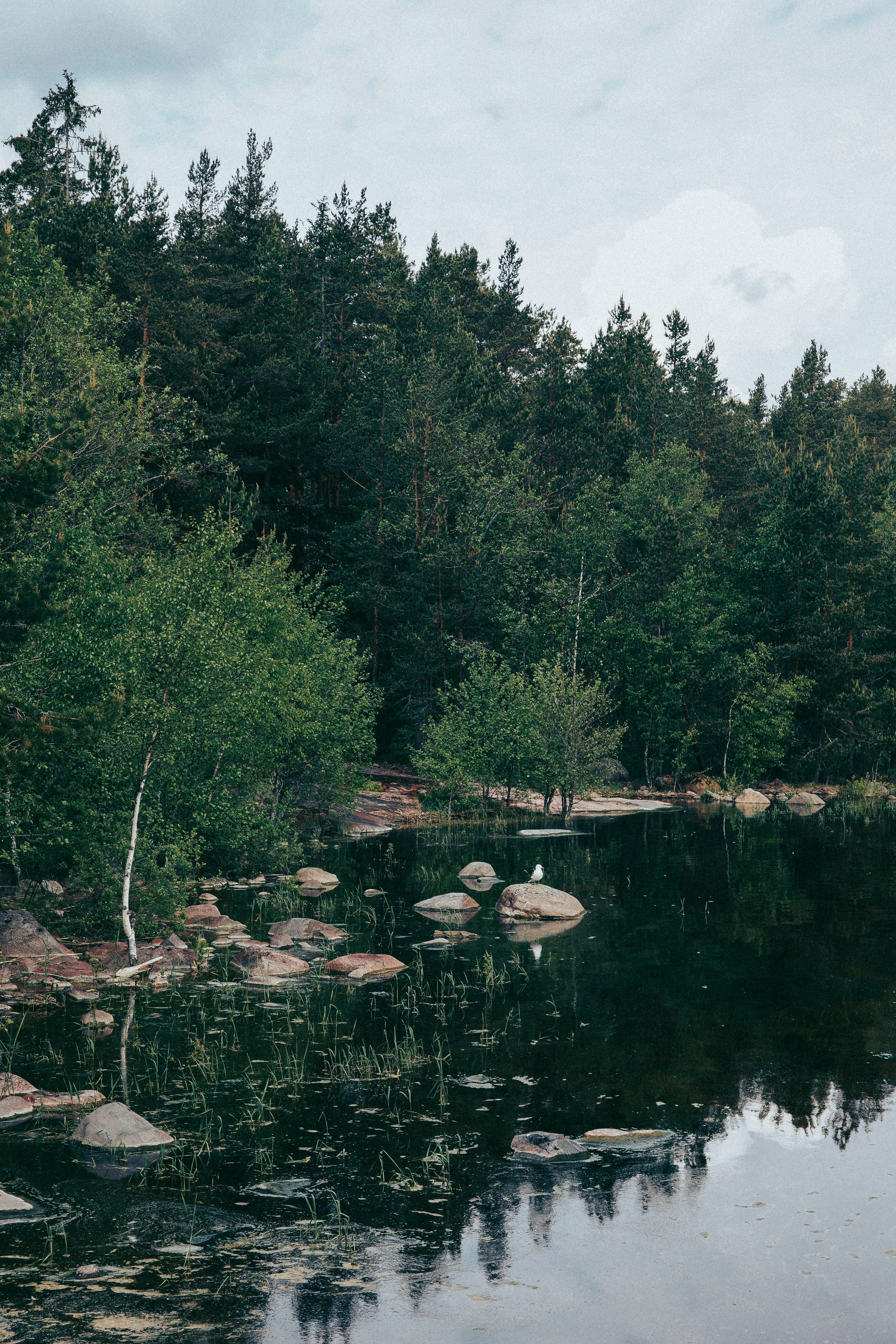 Папа и дочка. Фотограф в Москве Шаганова Нина