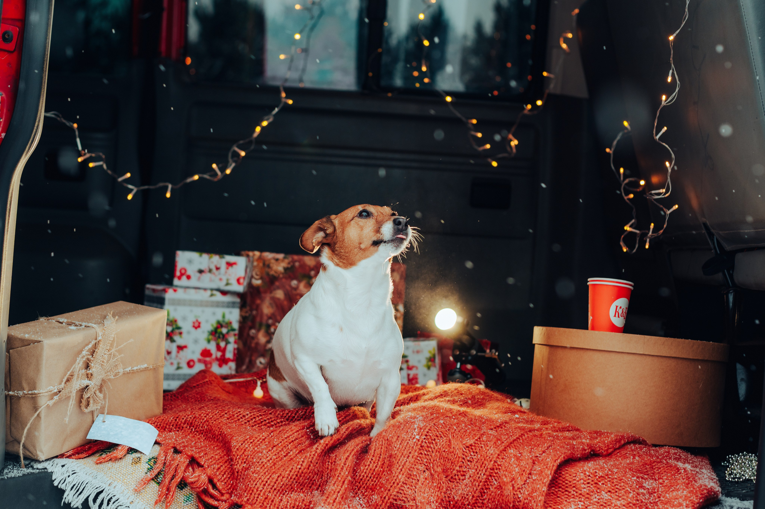 Вика и Денис. Детский и семейный фотограф Катерина Мишина