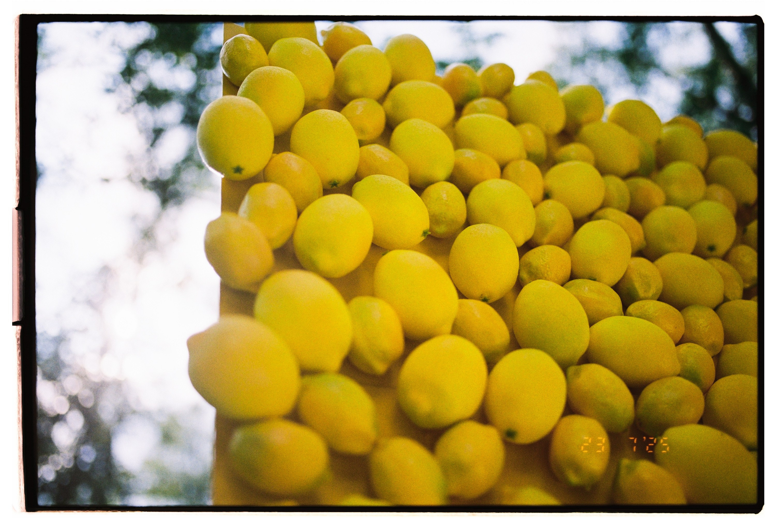 Артем и Полина. Свадебный фотограф в Москве Евгений Рыжов