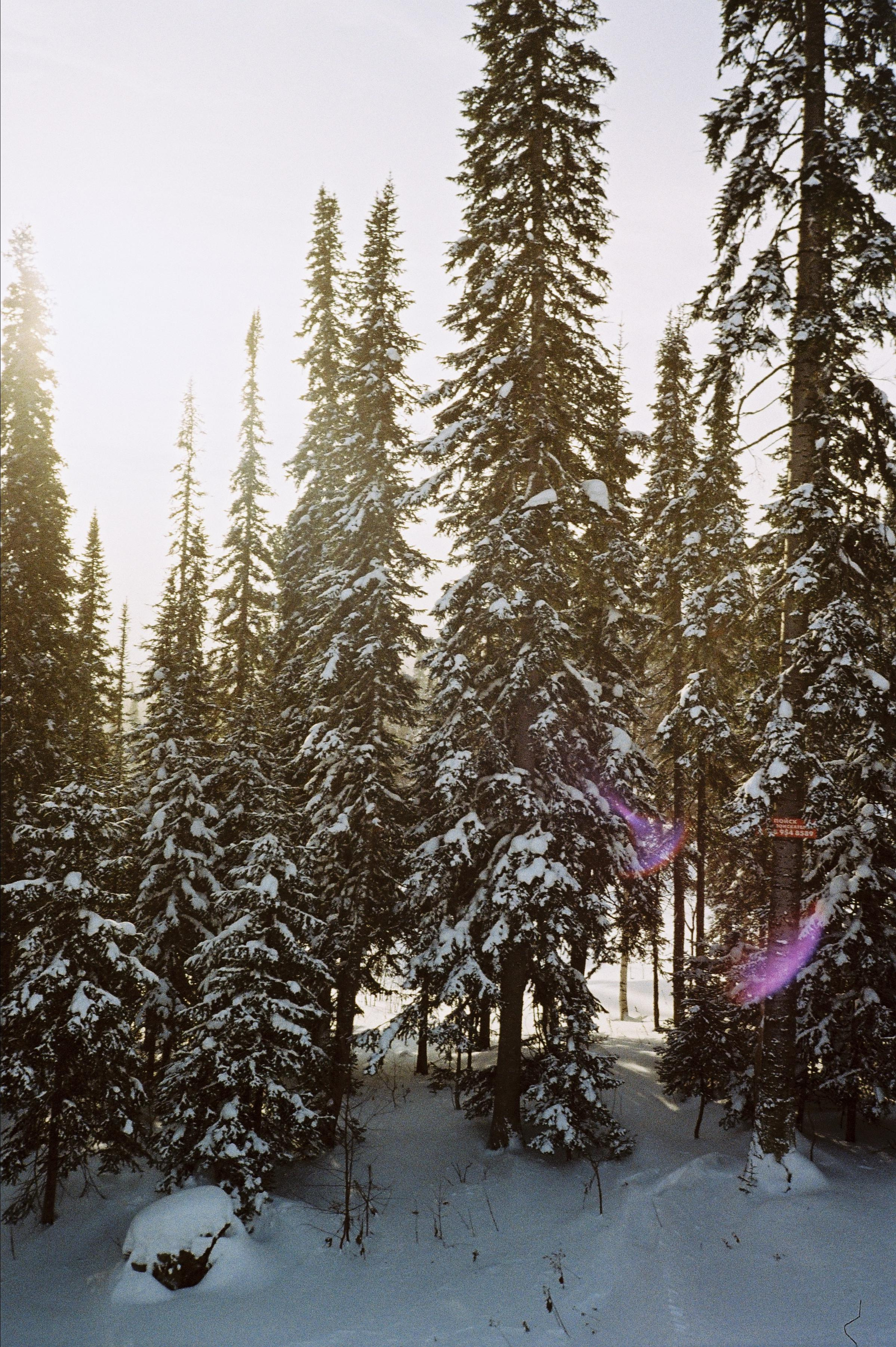 Пленка. Фотограф Андрей Куськало
