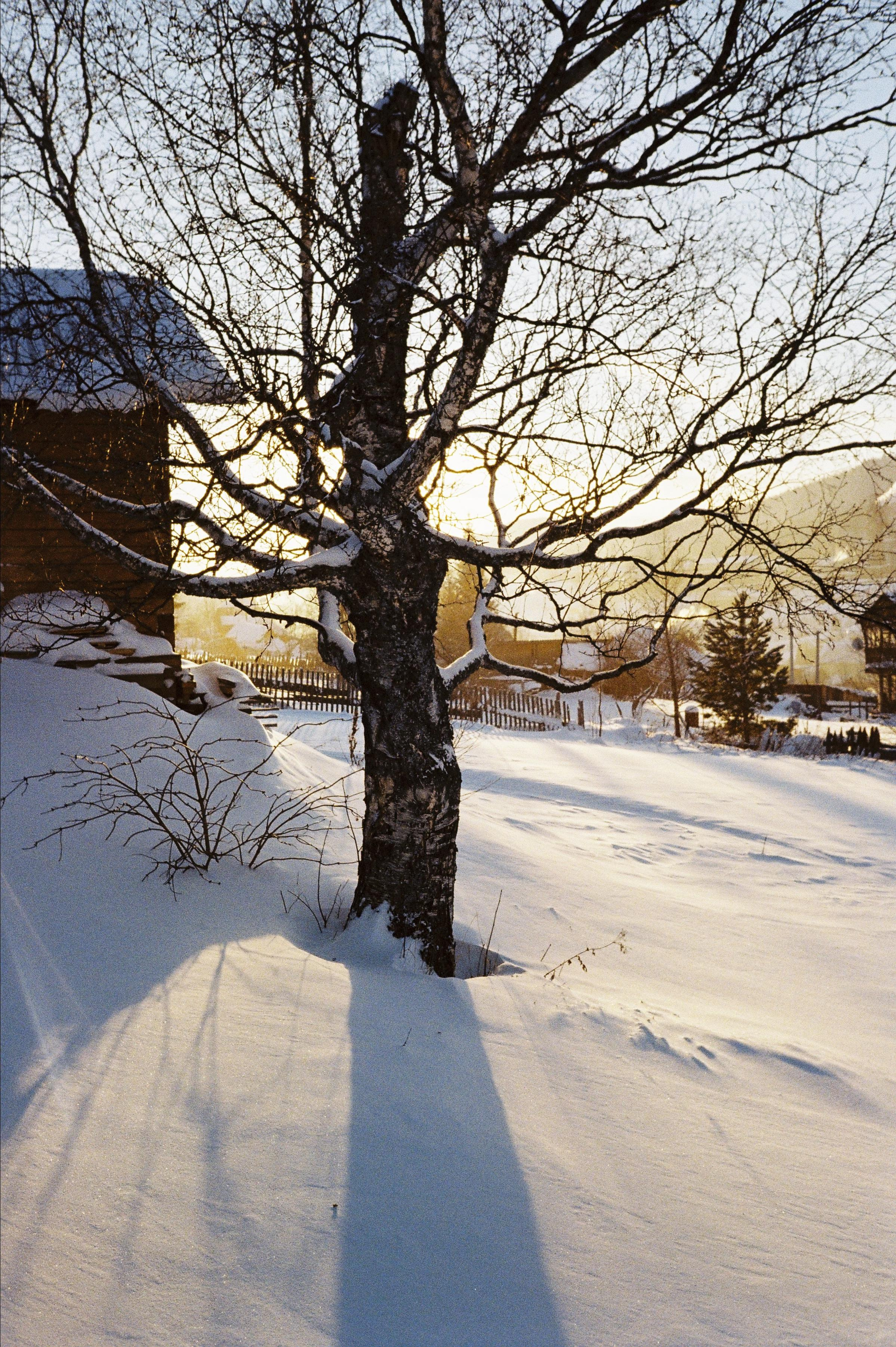 Пленка. Фотограф Андрей Куськало