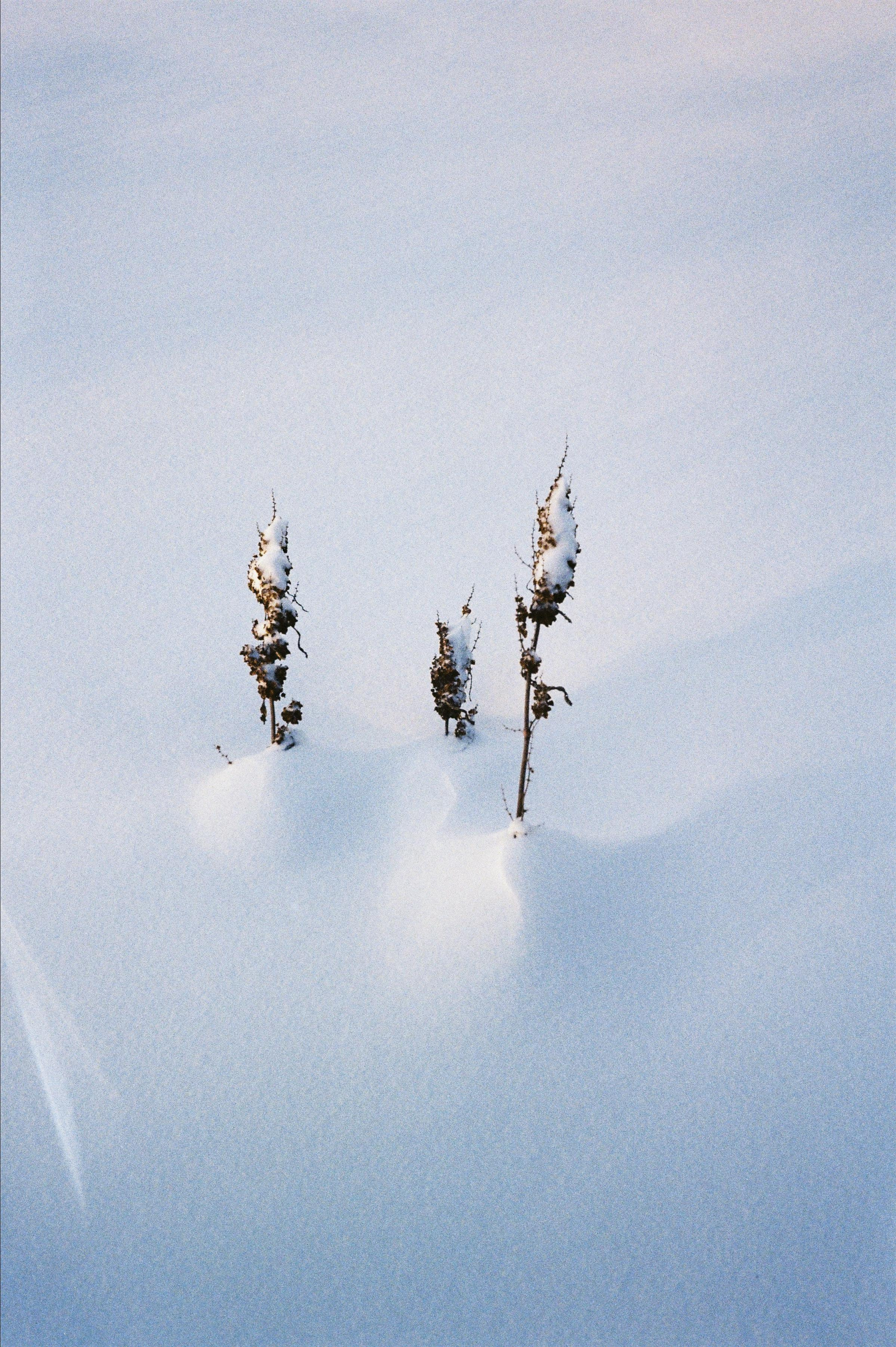 Пленка. Фотограф Андрей Куськало