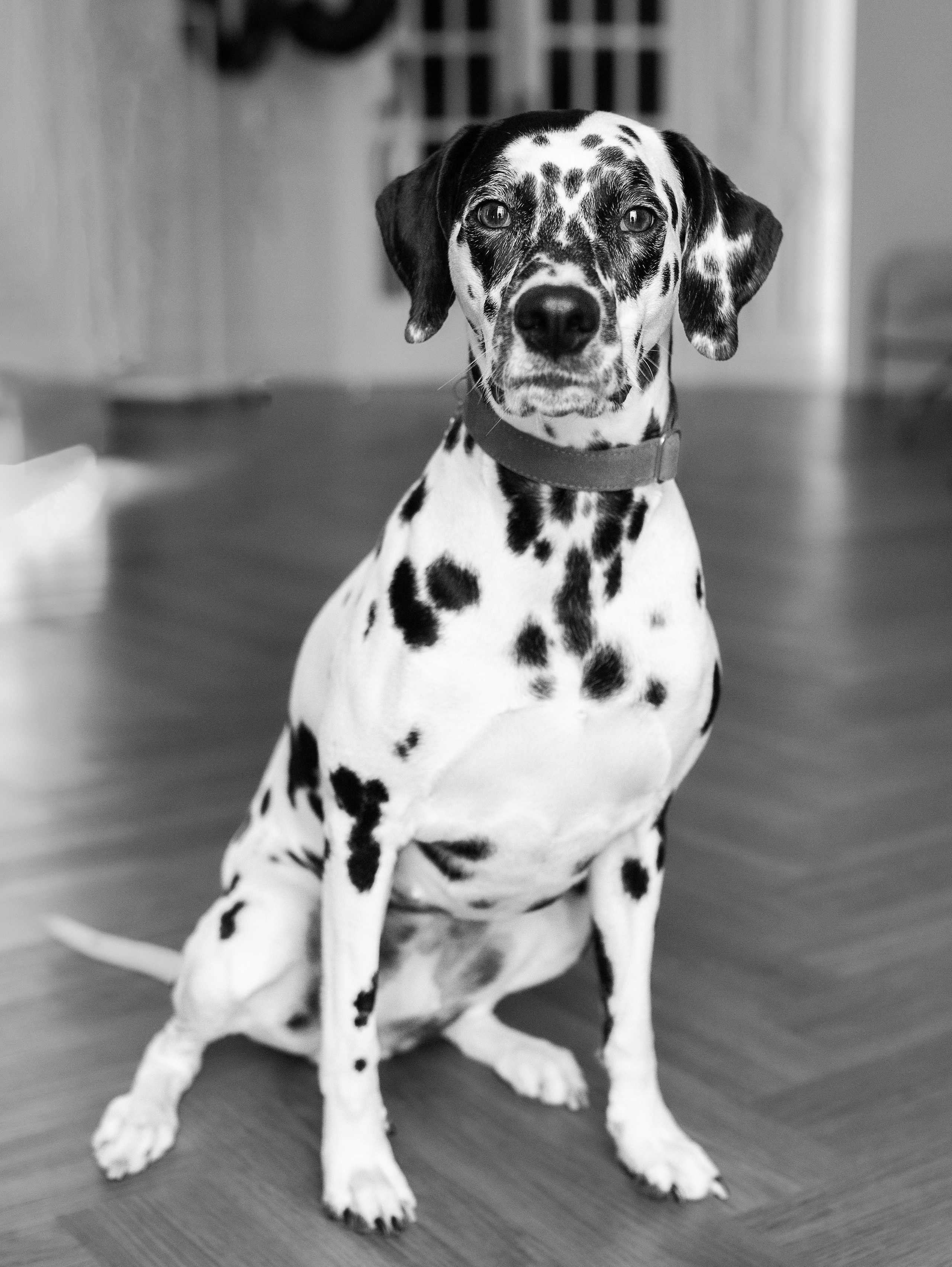 Ульяна. Семейный фотограф в Санкт-Петербурге Ирина Иванова