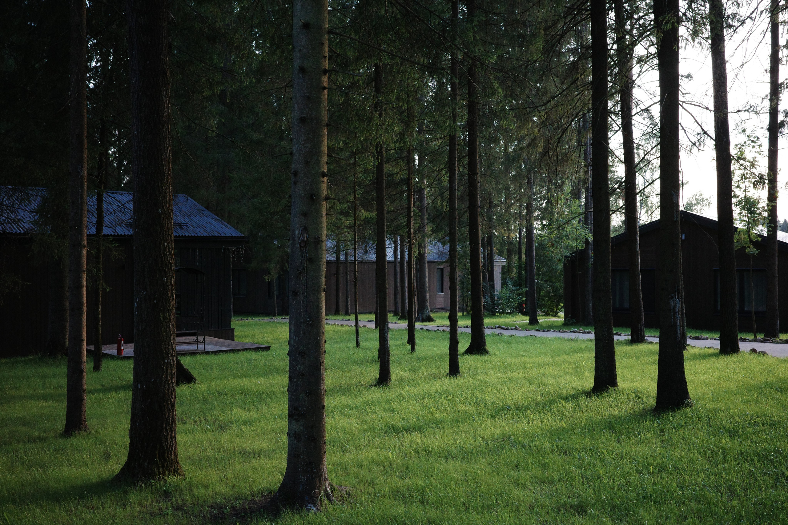 #41: Пересвет / август 2025. Проект «Фотокладовка»: блог уличной фотографии в формате street photo