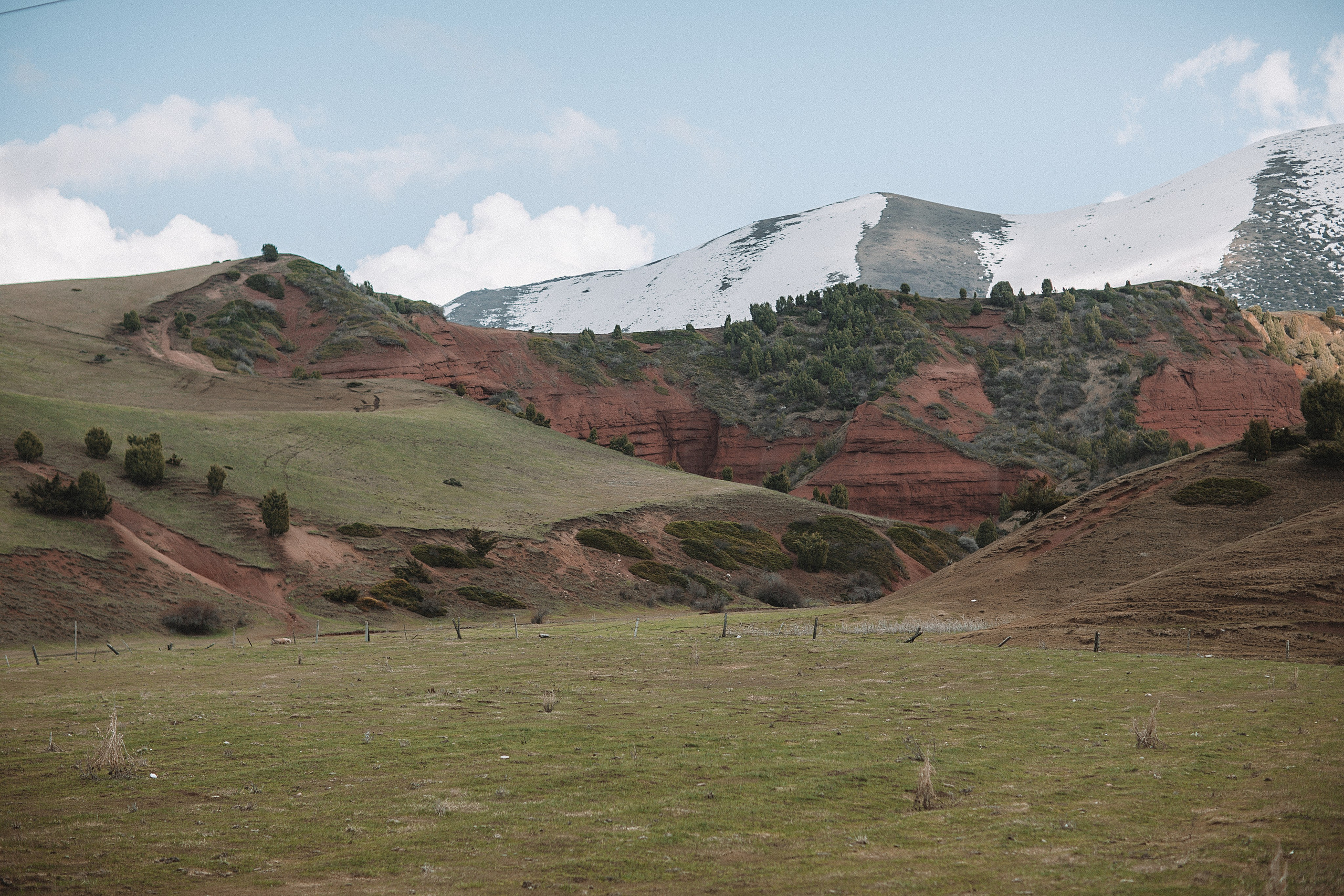 Семейная фотосессия в Краснодаре. Свадебный и семейный фотограф/видеограф в Краснодаре Наталья Осинская