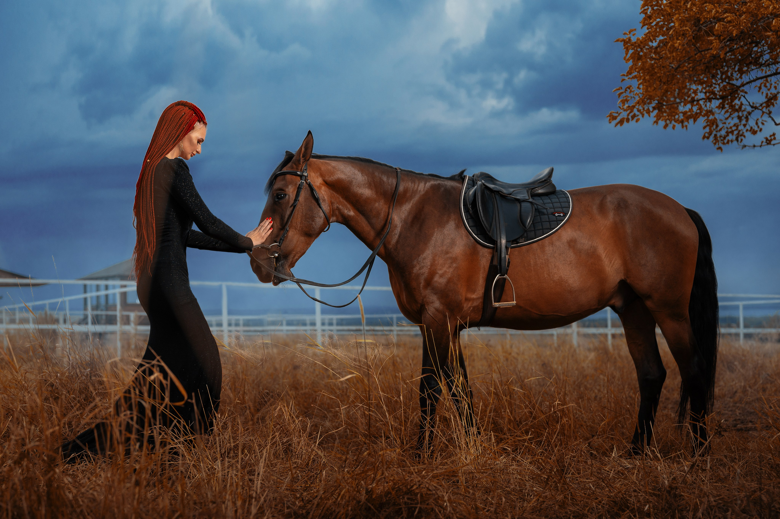 Портреты. Репортаж, Интерьеры, Мероприятия, SMM. Фотограф Ставрополь