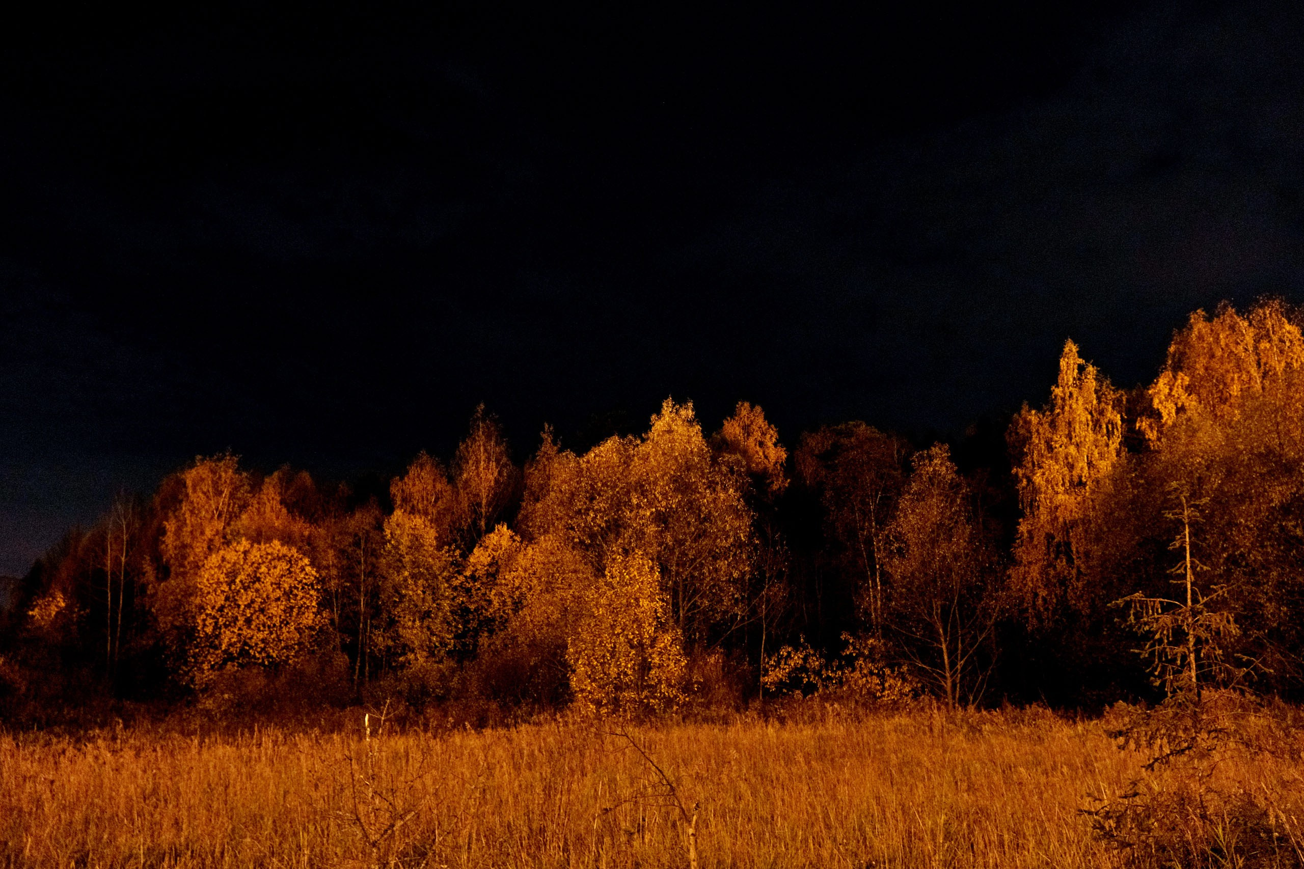 Фотоальбом с разными съёмками