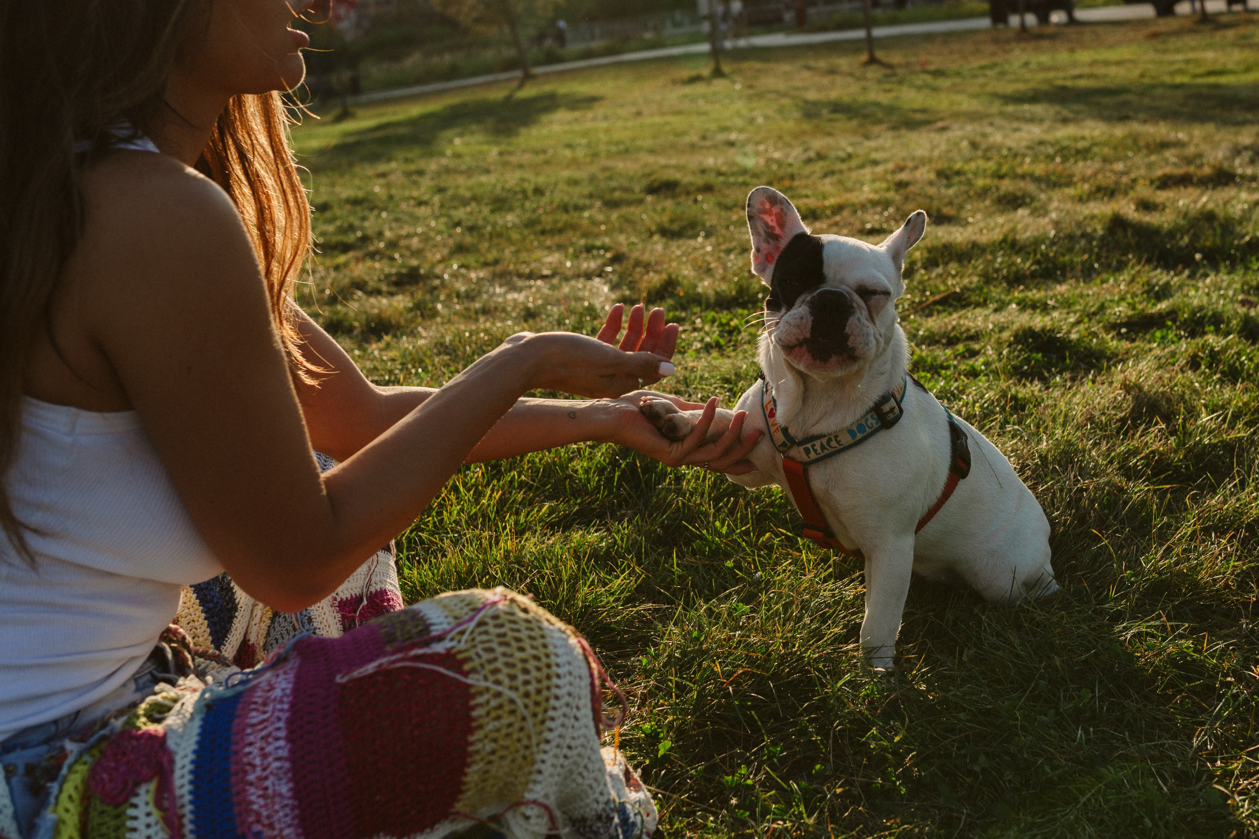 Инна и Белль. Фотограф анималист в Москве Ольга Агушева