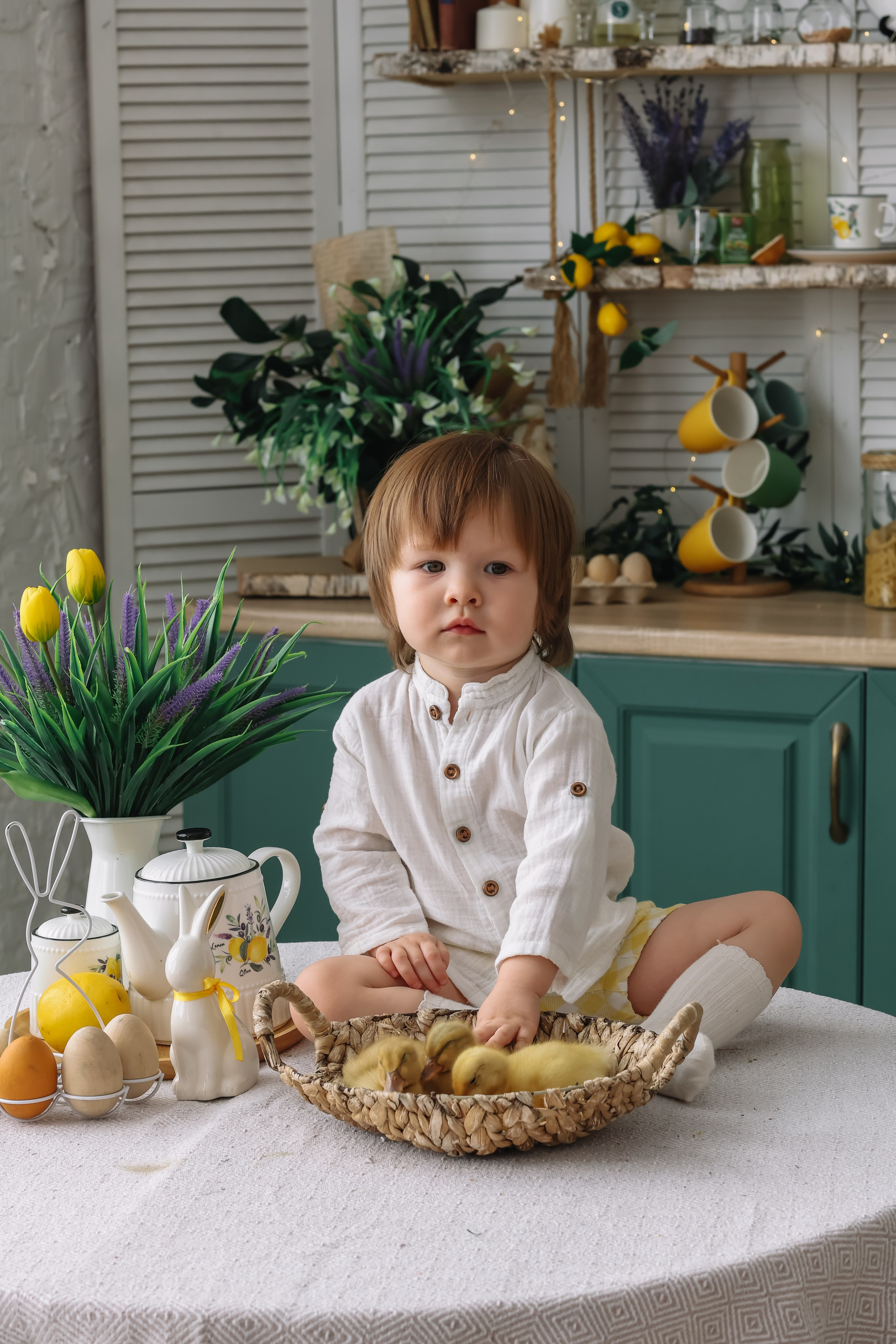 Утята. Фотограф и видеограф Анна Домашенко