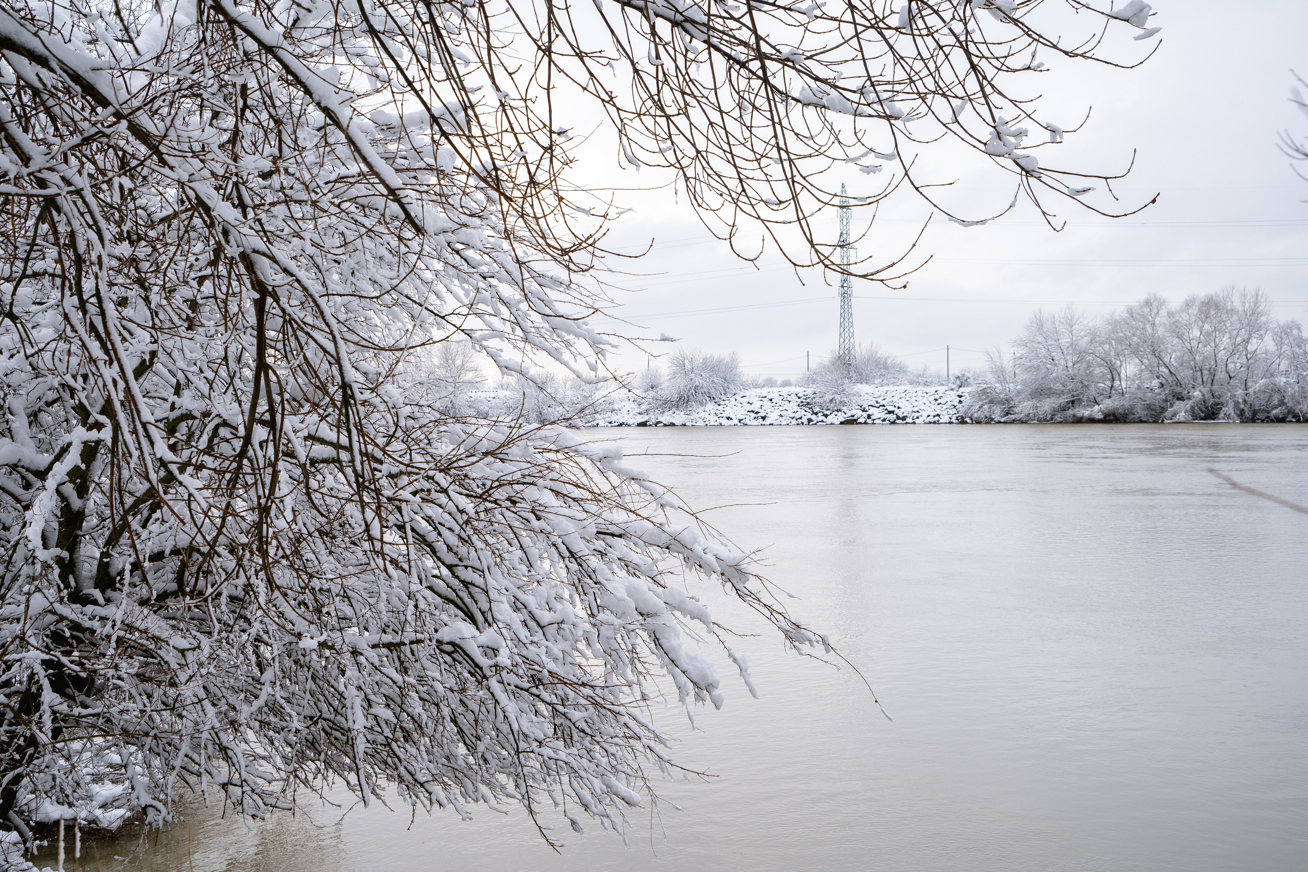 Зима 2024. Свадебный и семейный фотограф/видеограф в Краснодаре Наталья Осинская