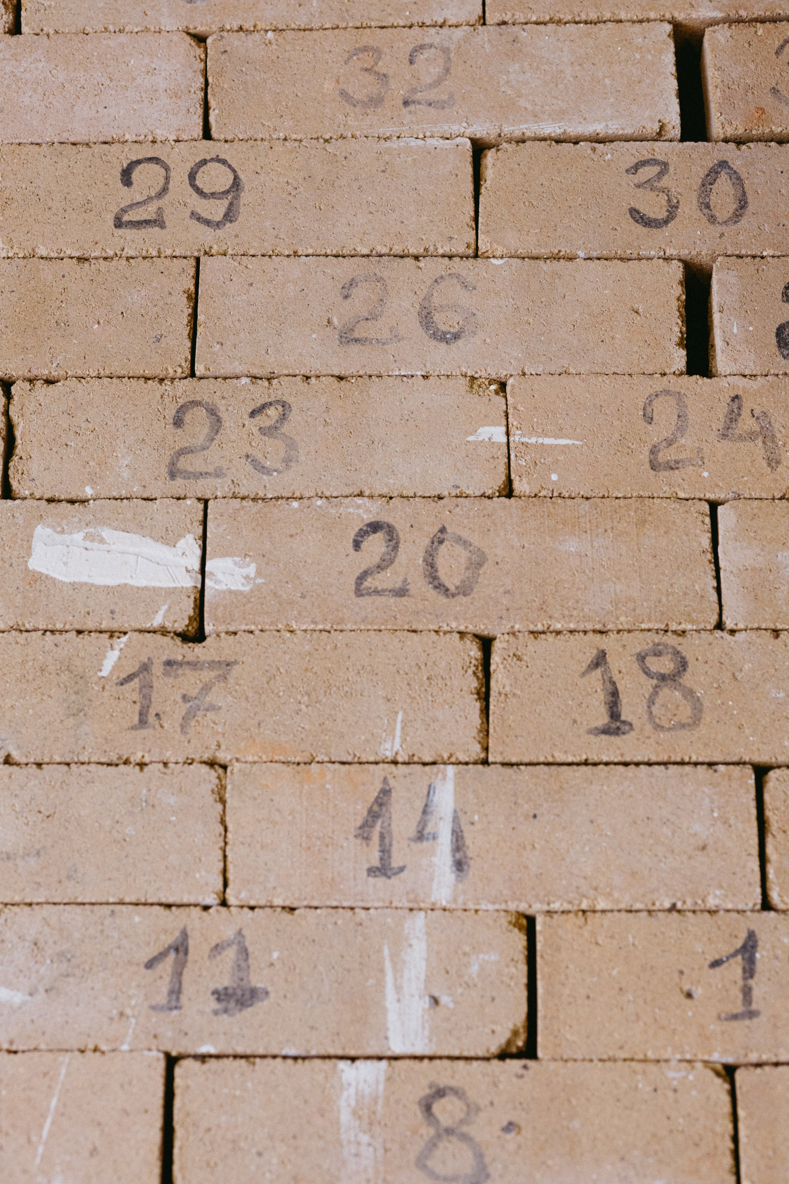 Новые земли. Про любовь