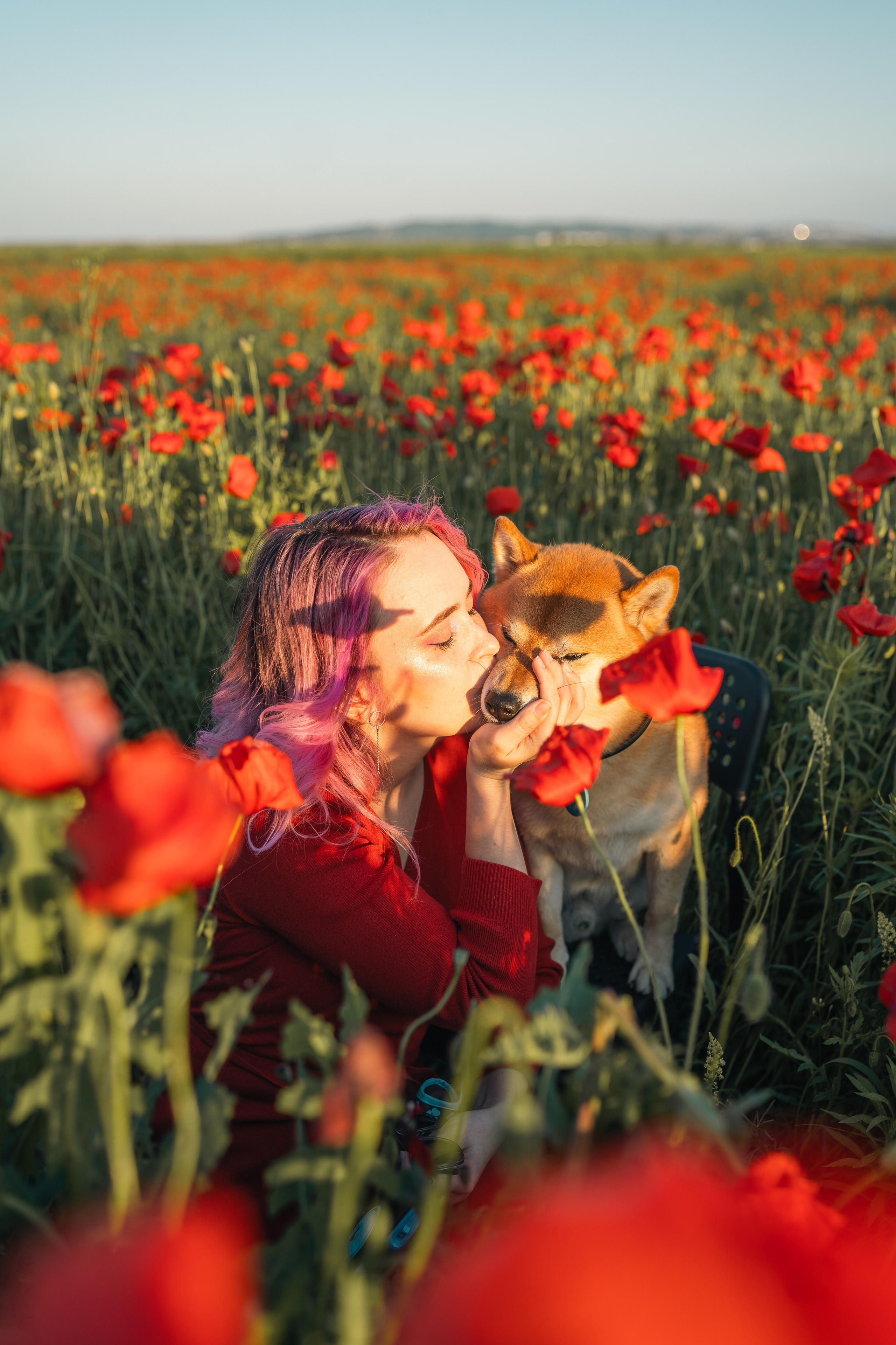 Маковое поле. Фотограф анималист
