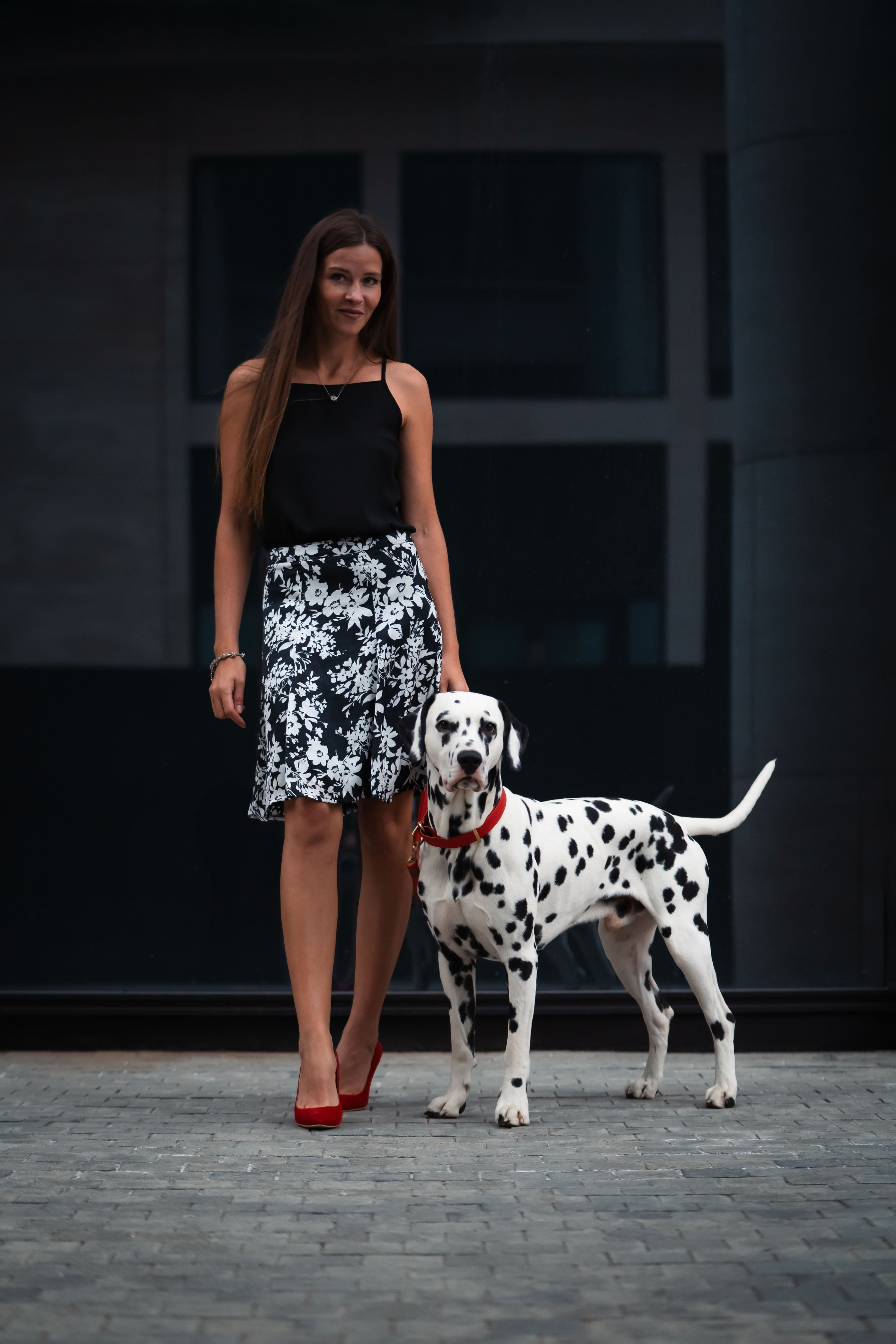 1 Далматин. Фотограф анималист