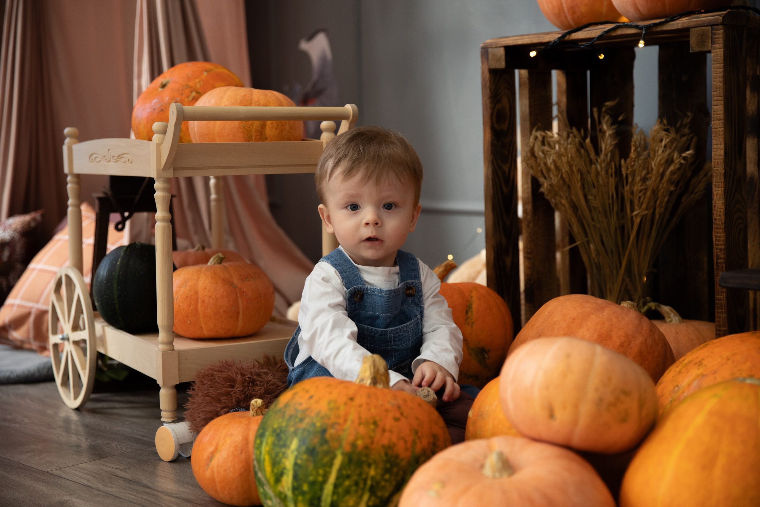 Краски осени. Фотограф в Омске