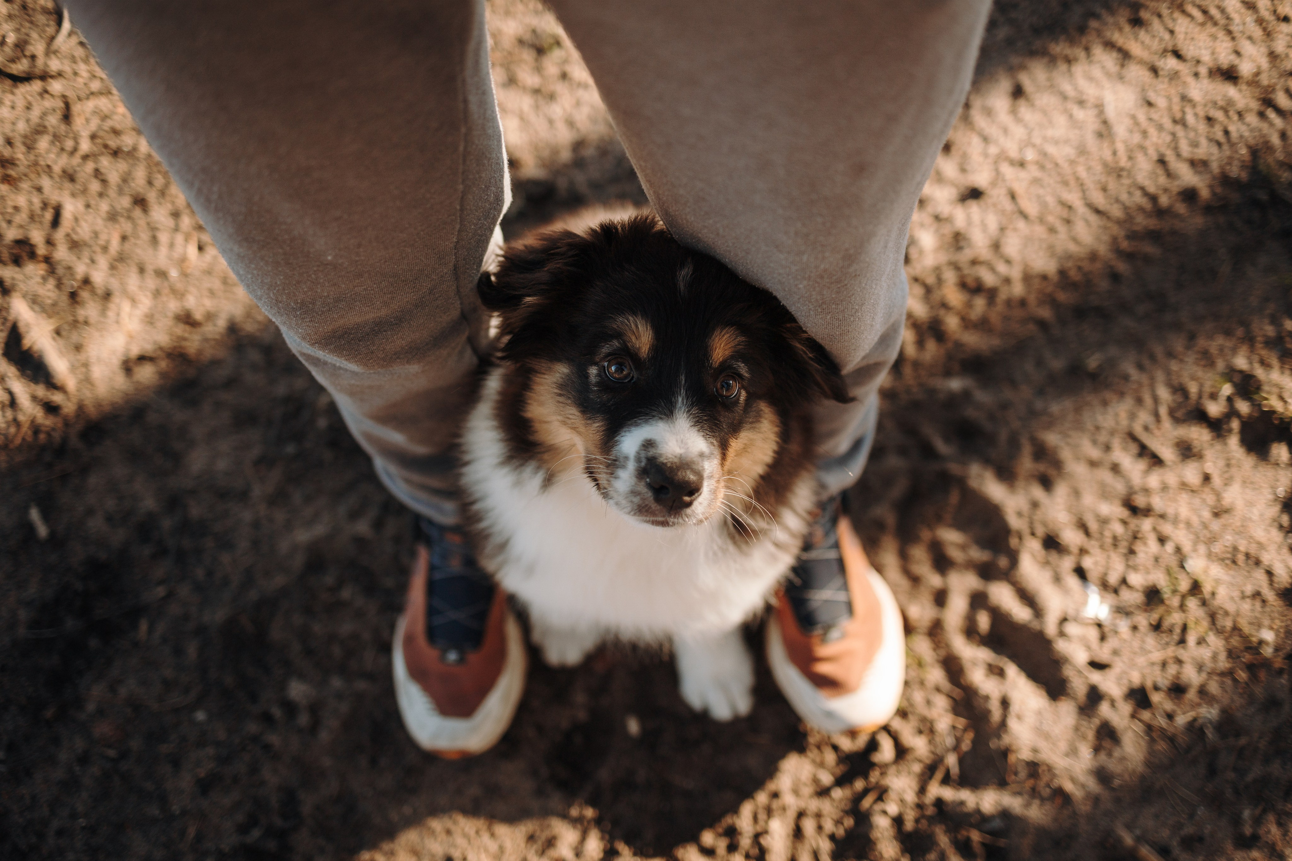 Ира и Шмель. Фотограф — Анималист | Санкт-Петербург