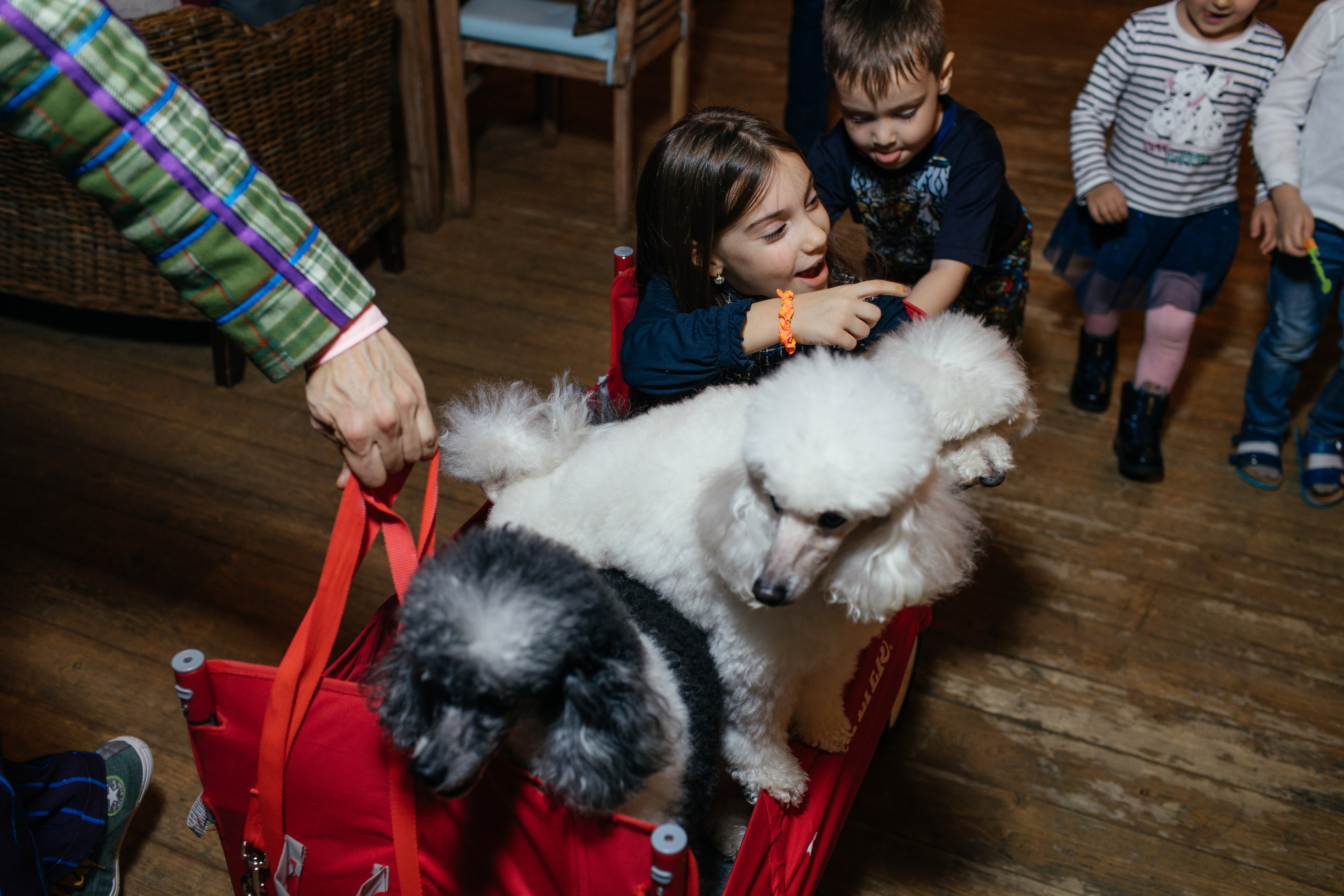 Алине 7 лет. Свадебный и семейный фотограф