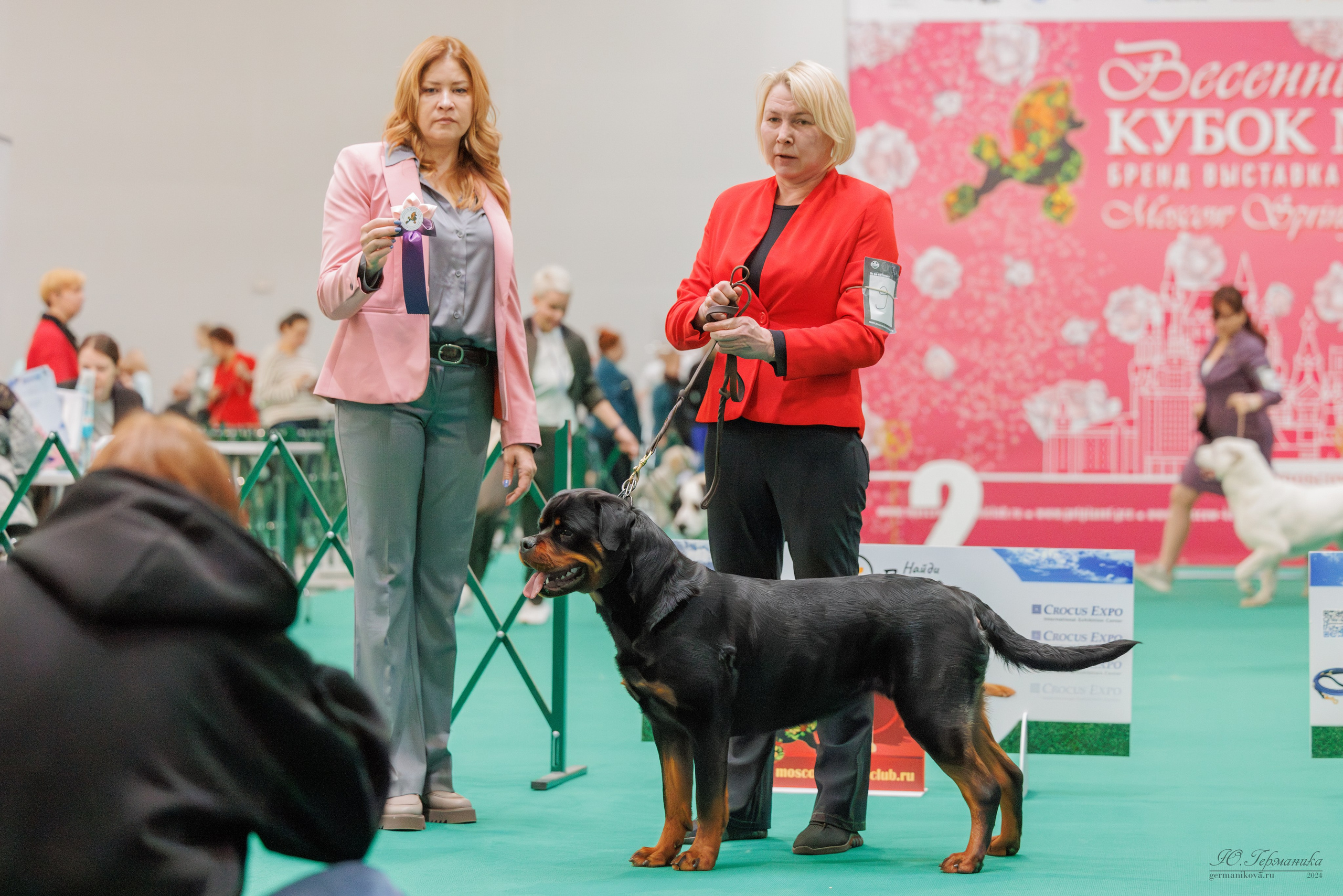 Сфера и Крокус 8,9,16 и 30.03.2025. Фотограф-анималист Юлия Германика