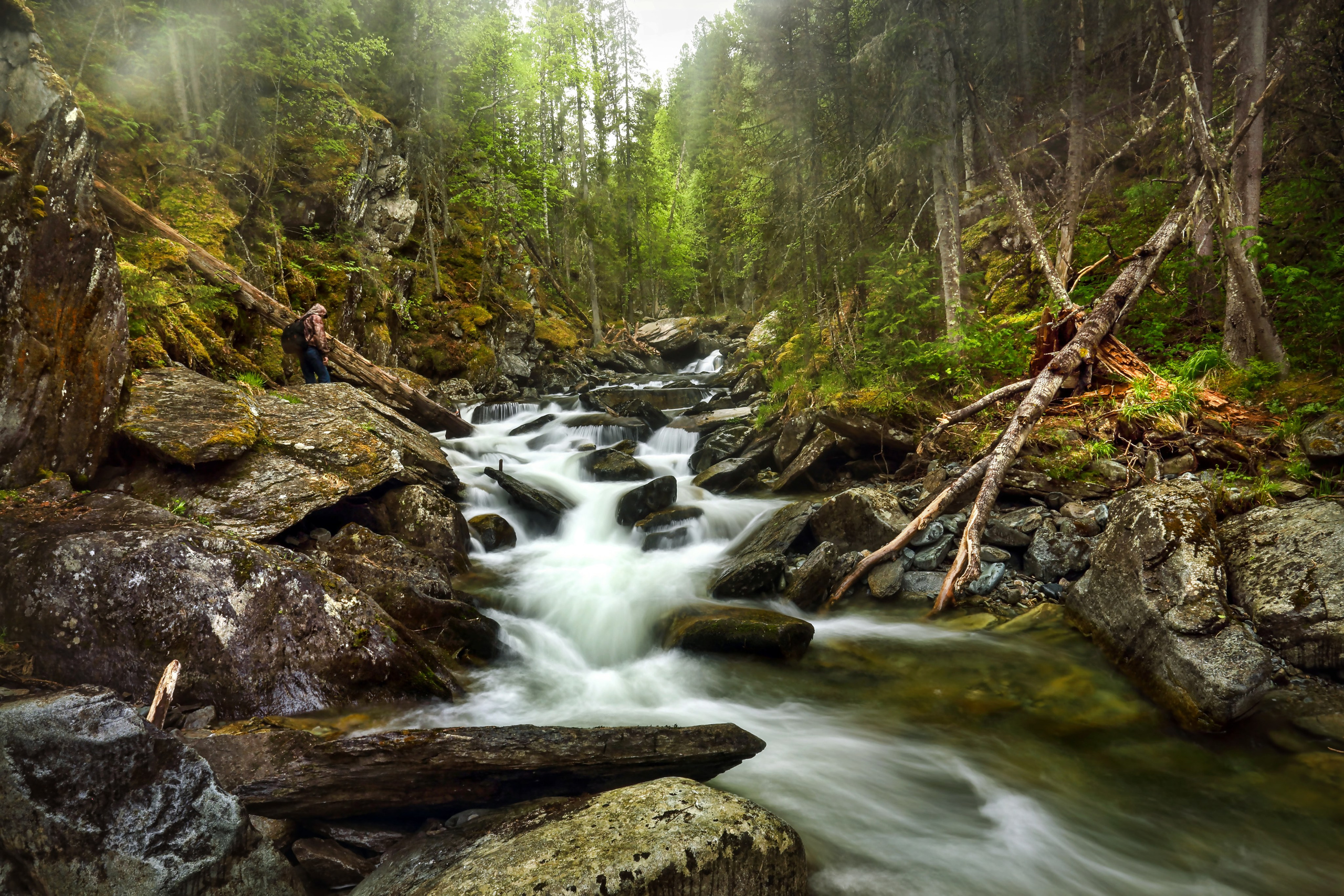ПЕЙЗАЖИ. Фотограф Татьяна Борисова