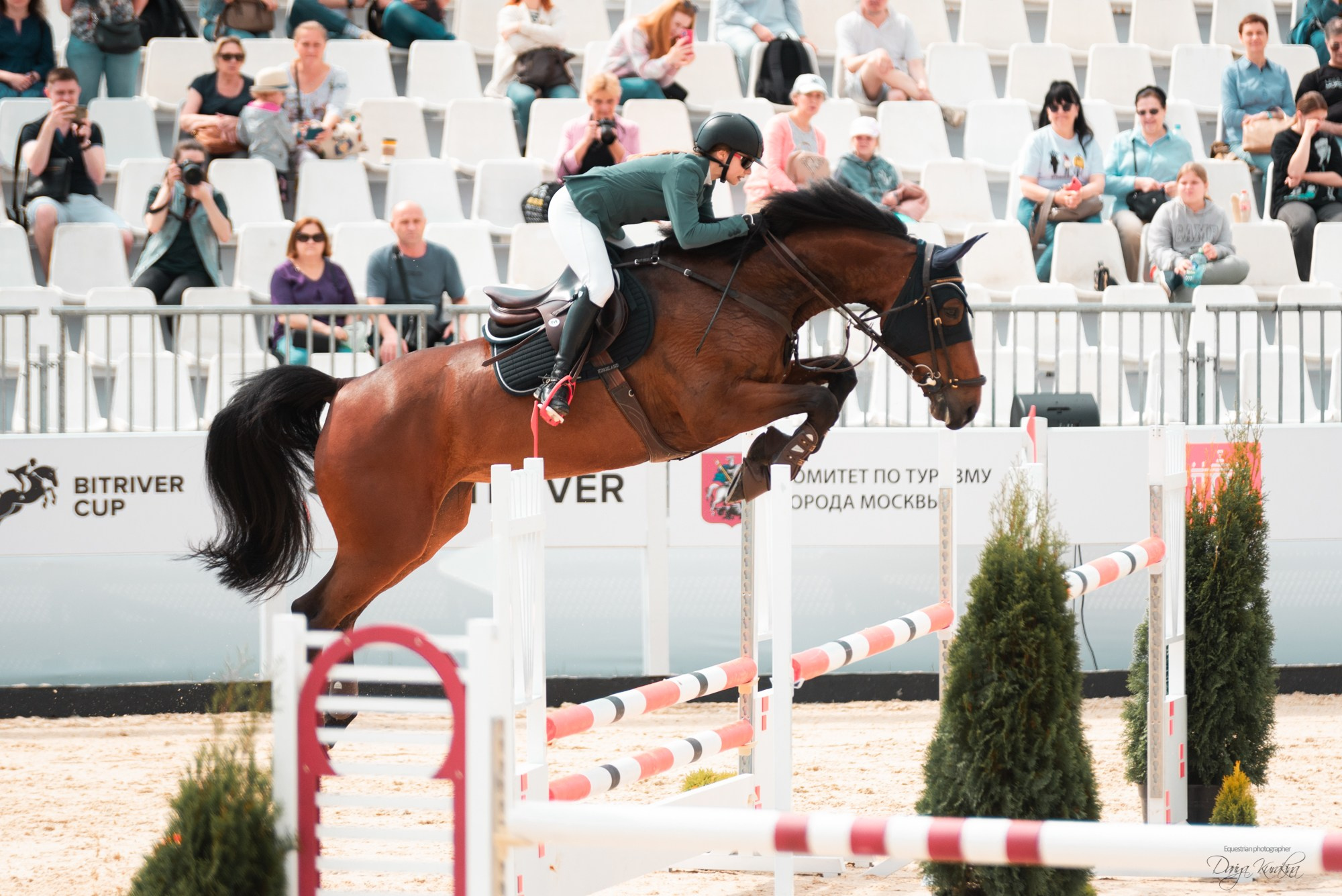 BITRIVER CUP 2023. Конный фотограф Куракина Дарья • Фотосессии с лошадьми