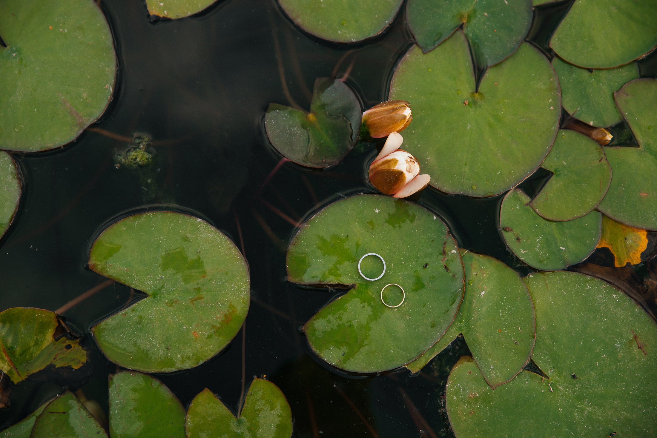 Тимур & Александра. Фотограф Евгений Горпиняк