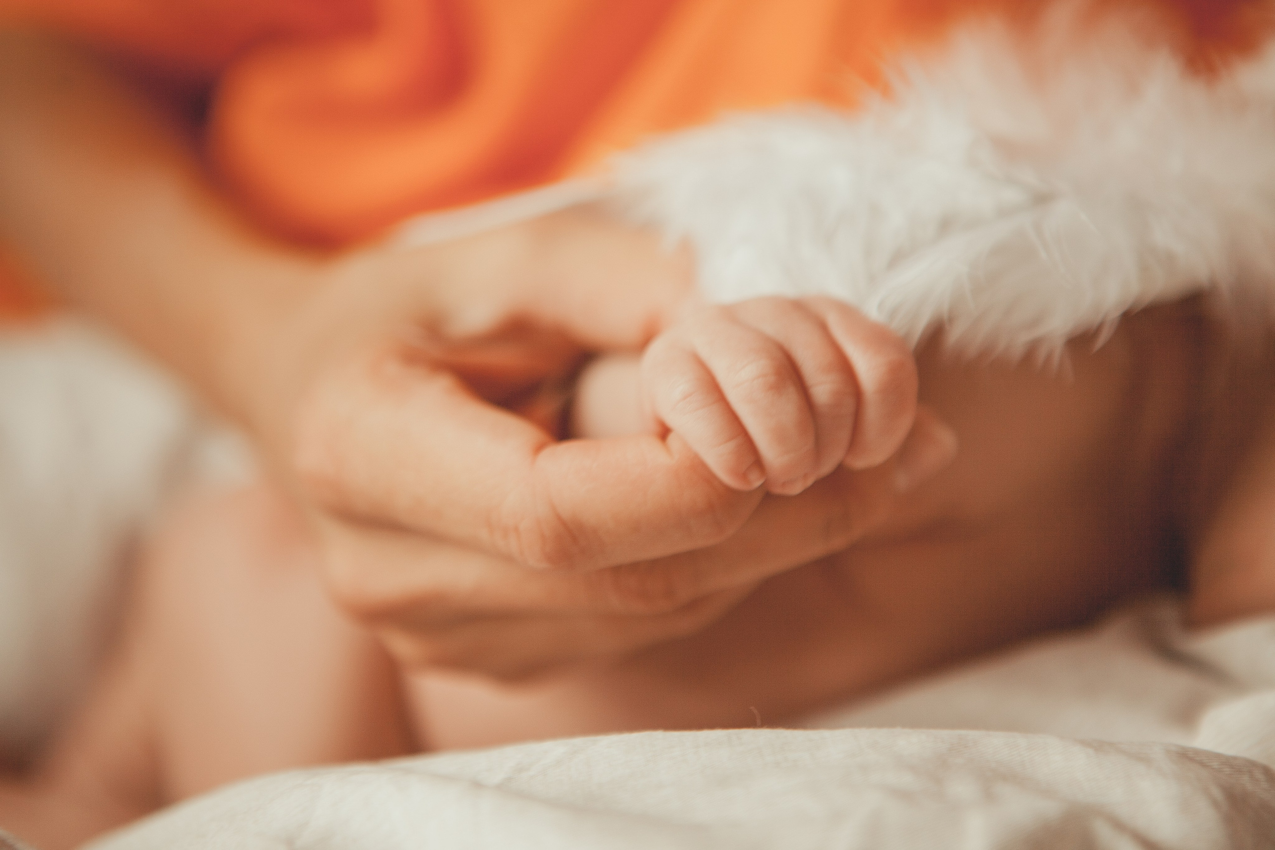 Гордей. Фотограф Ольга Ефремова