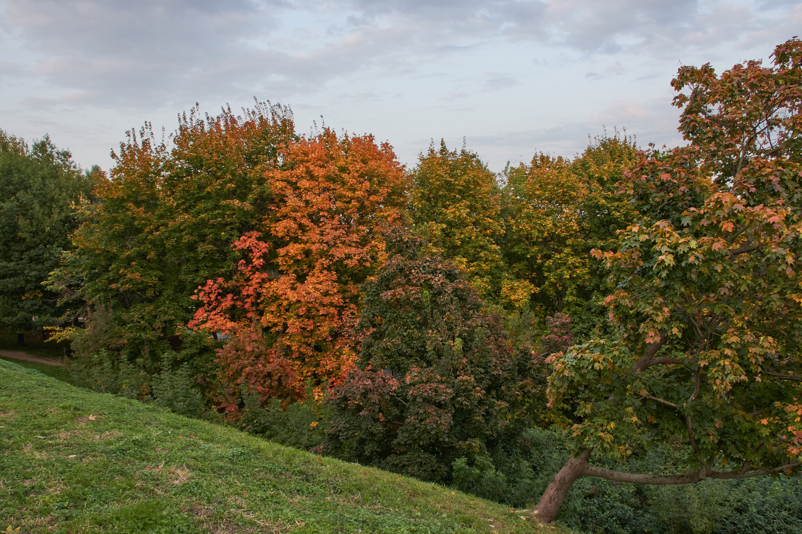20200927 Коломенское. Дмитрий Ремизов. Фотография, как хобби