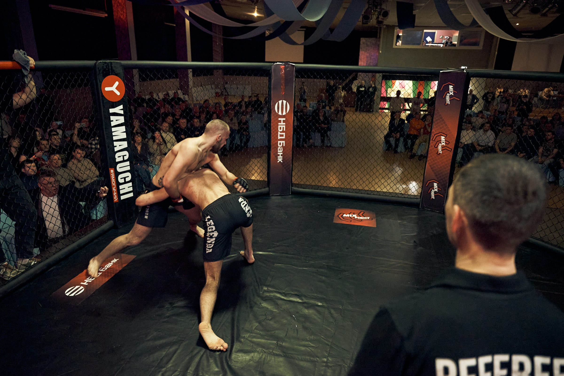 Бои. Маляревич Дмитрий свадебный фотограф