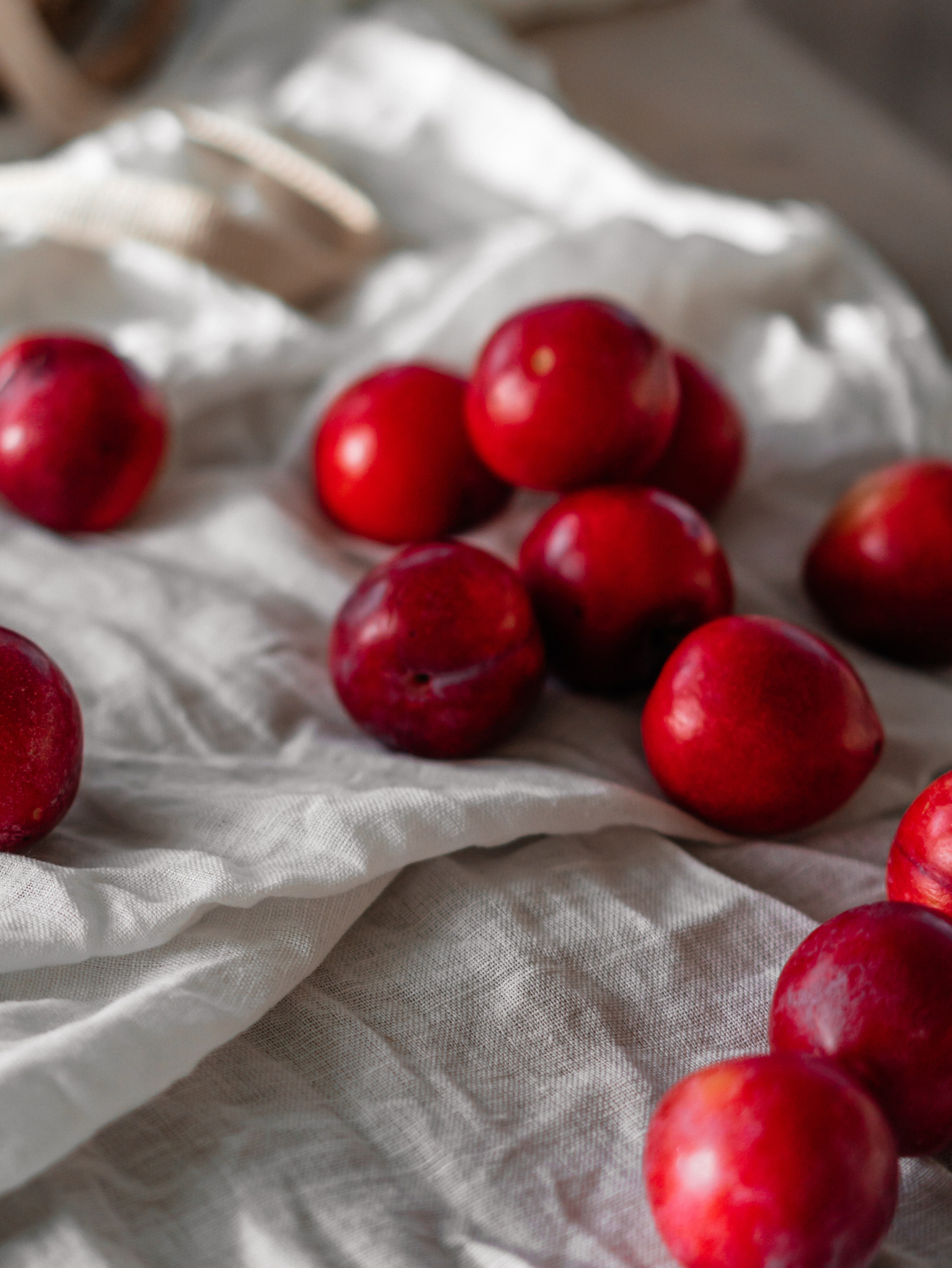 Арина. Валерия Булыгина | Фотограф