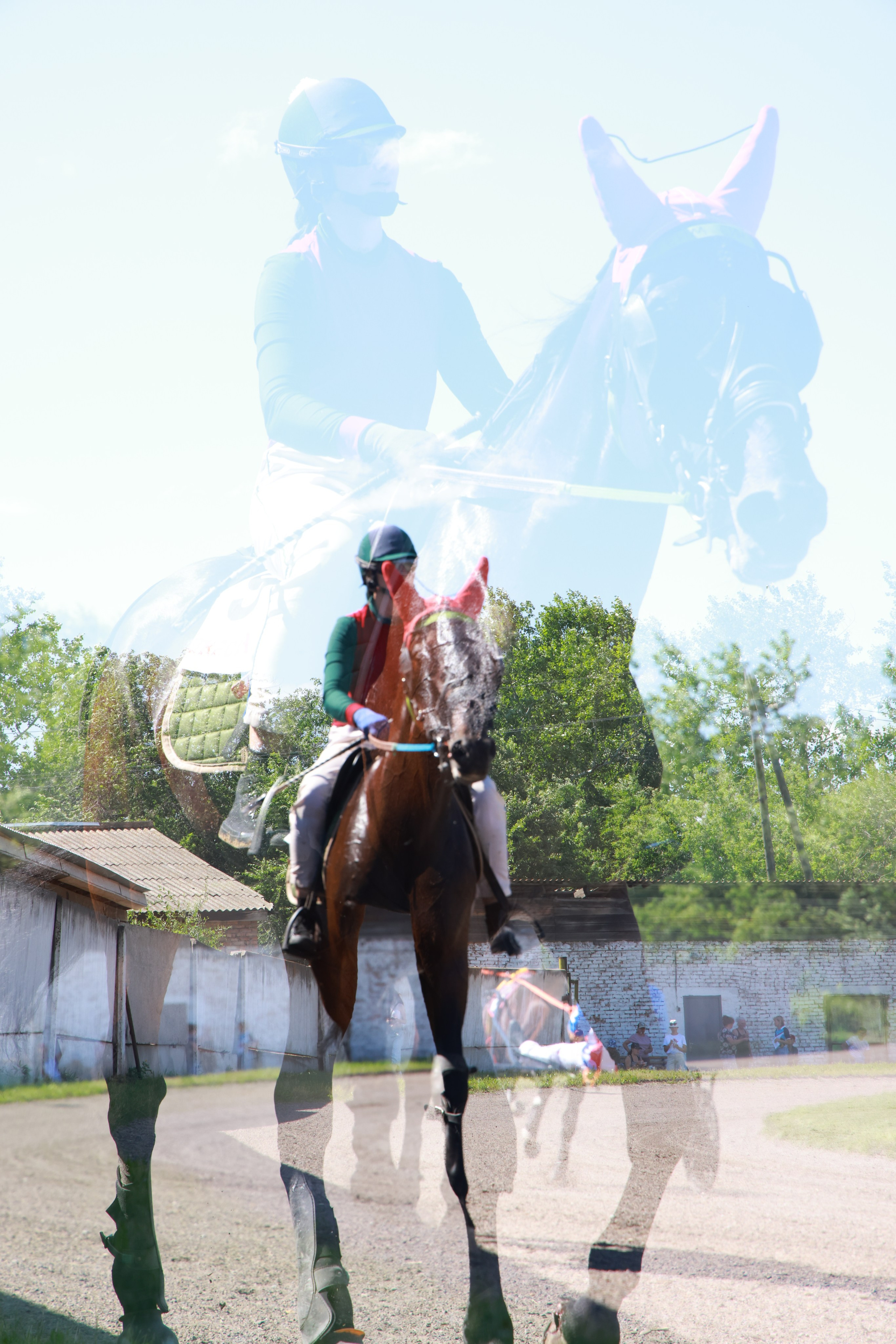 Мир вокруг нас. Разное. Фотограф Наталья Кузьмик г. Красноярск