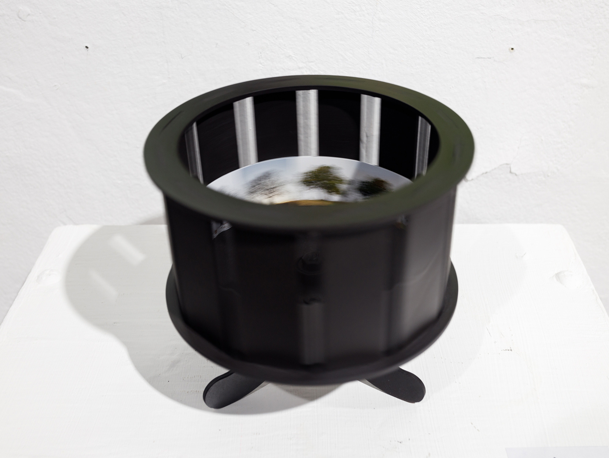 Год дерева. Мария Ковалевская — фотохудожник