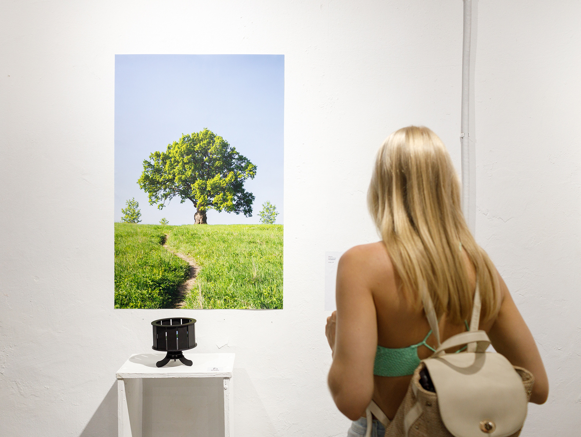 Год дерева. Мария Ковалевская — фотохудожник