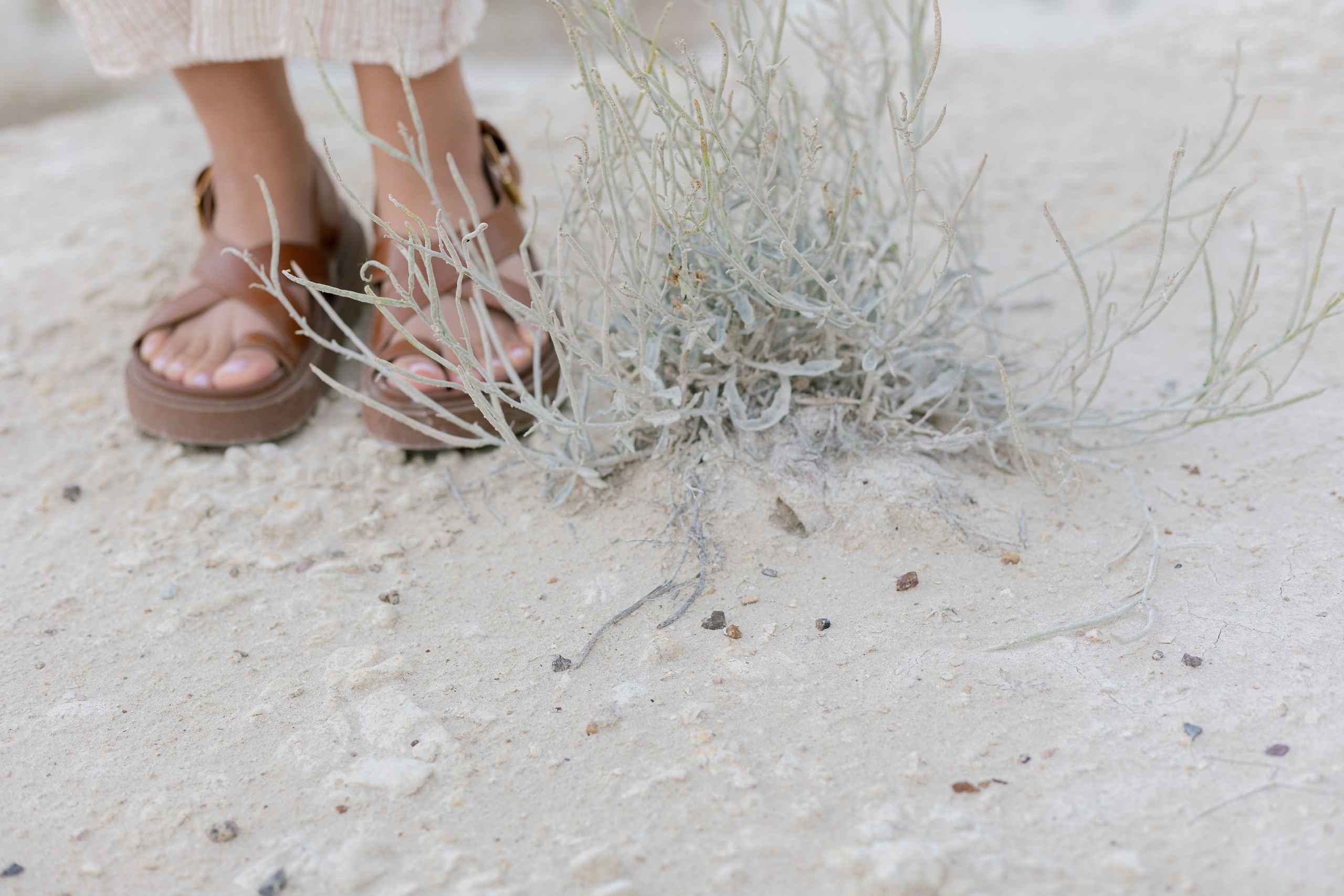 Фотосессия в степи Казахстана. Свадебный фотограф Калининград