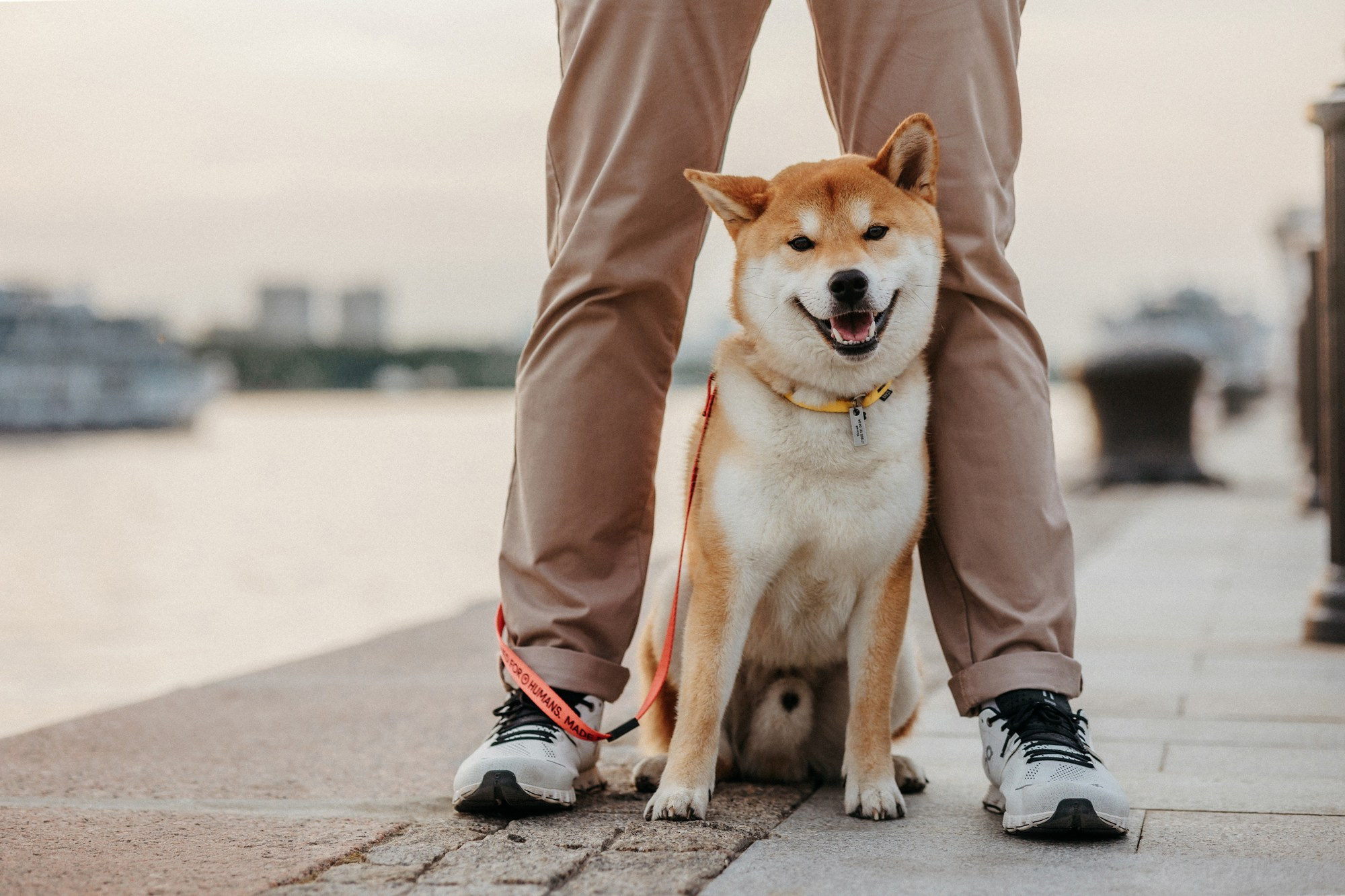 Аня, Влад и Ики. Фотограф-анималист Елена Радченко, Москва