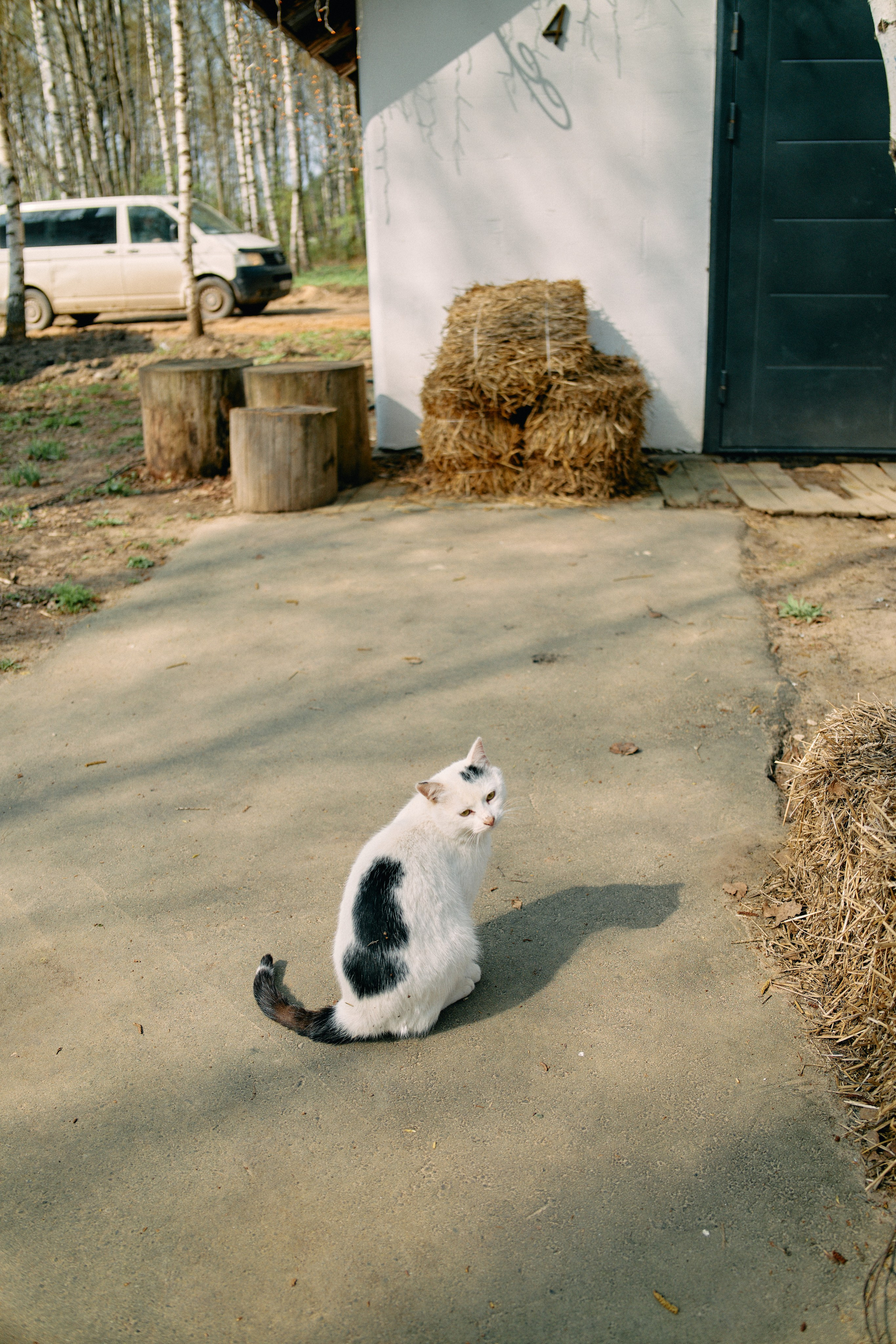 Бутик-отель Поле летом. Профессиональный Фотограф во Владимире, в Москве и в Суздале — Полина Романычева