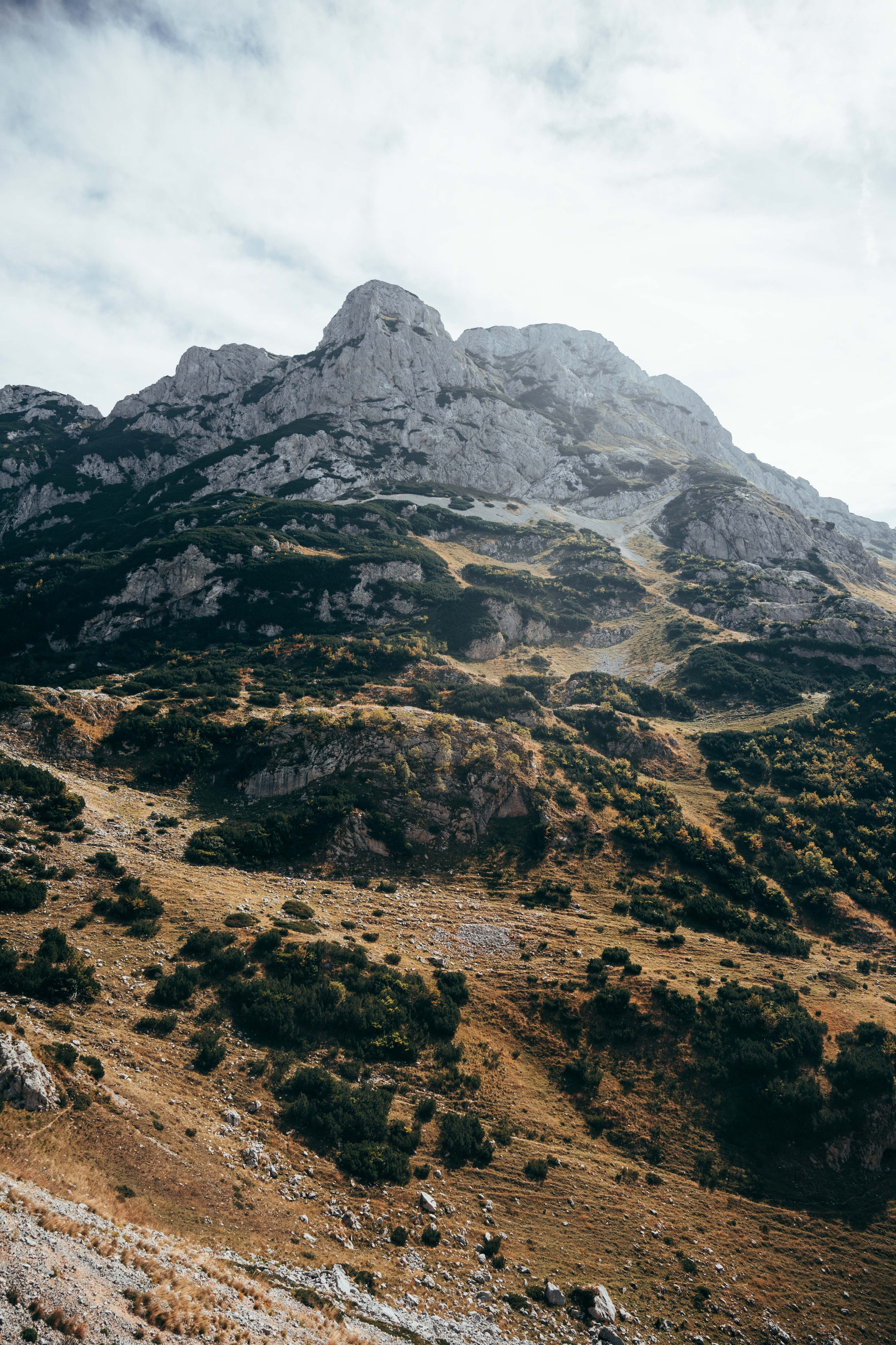 ДОЛИНА ЛОКВИЦЕ. ЧЕРНОГОРИЯ. Фотограф в Белграде Чугреева Елена