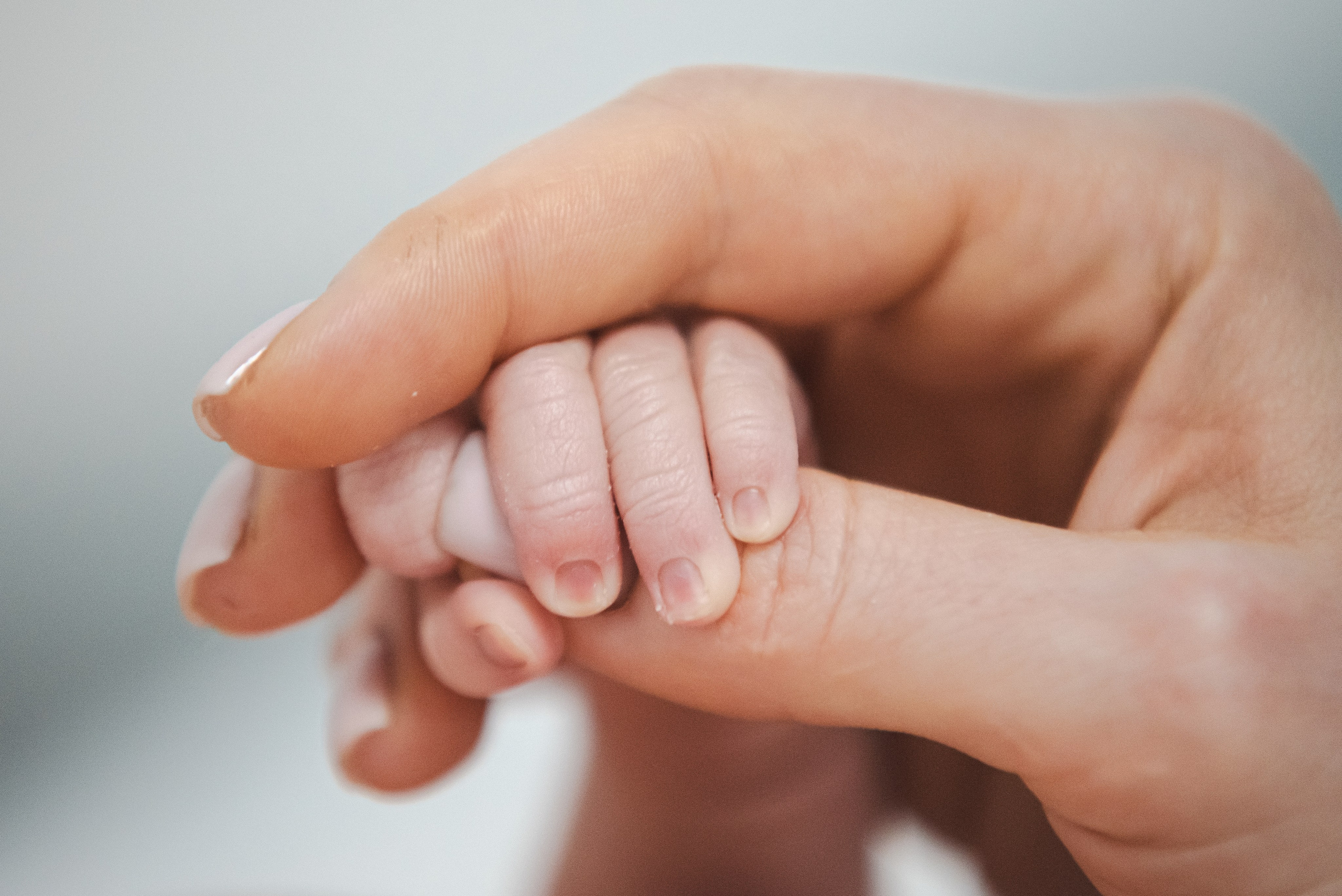 Выписка Марка 22.04.24. Наталия Март | Фотограф СПб