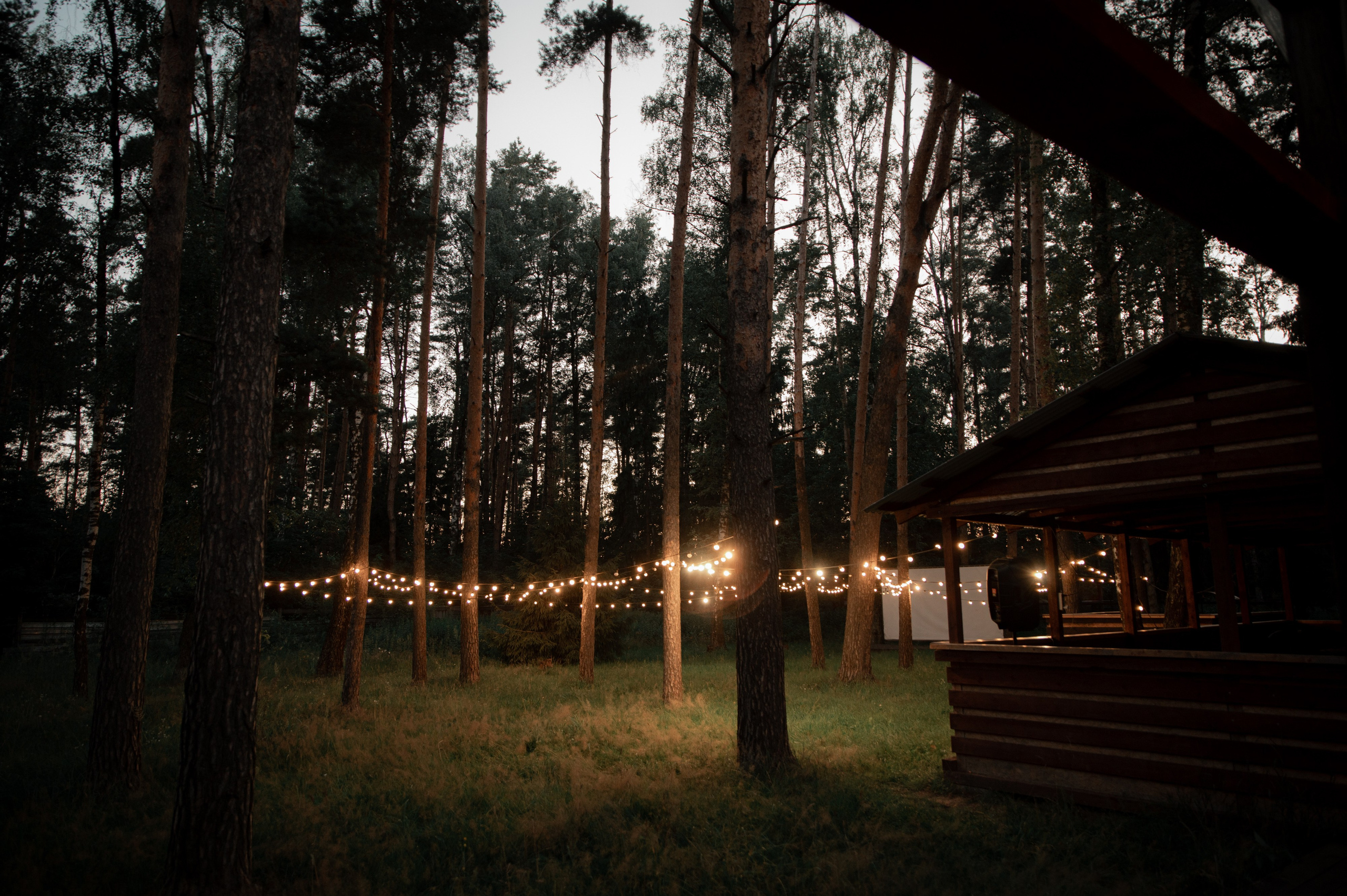 Екатерина и Сергей. Свадебный и портретный фотограф в Москве Жердев Даниил