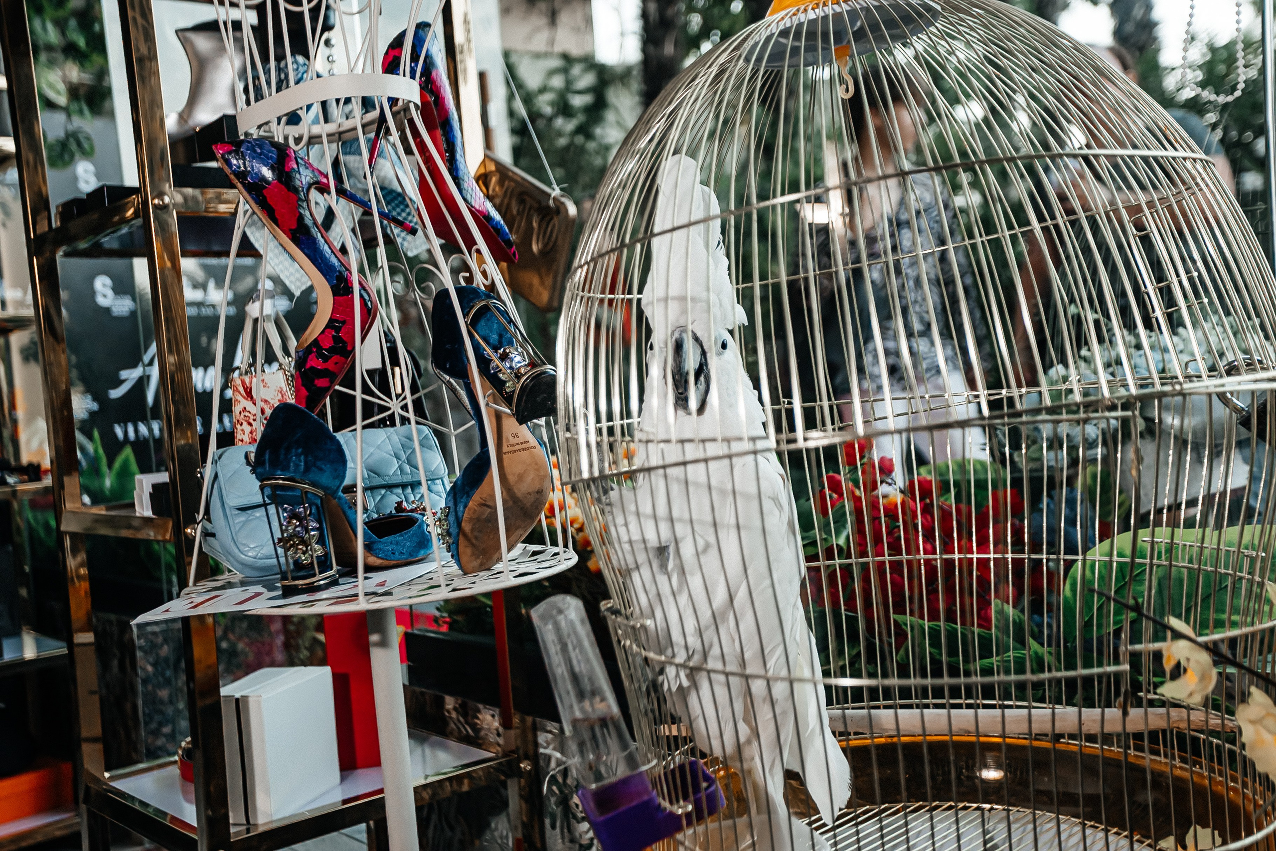 Открытие бутика Vintage Lux Store by Alena Loran_21.07.2024. Аминов Руслан | Фотограф